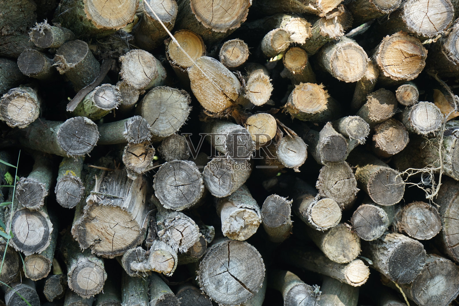 木柴堆照片摄影图片