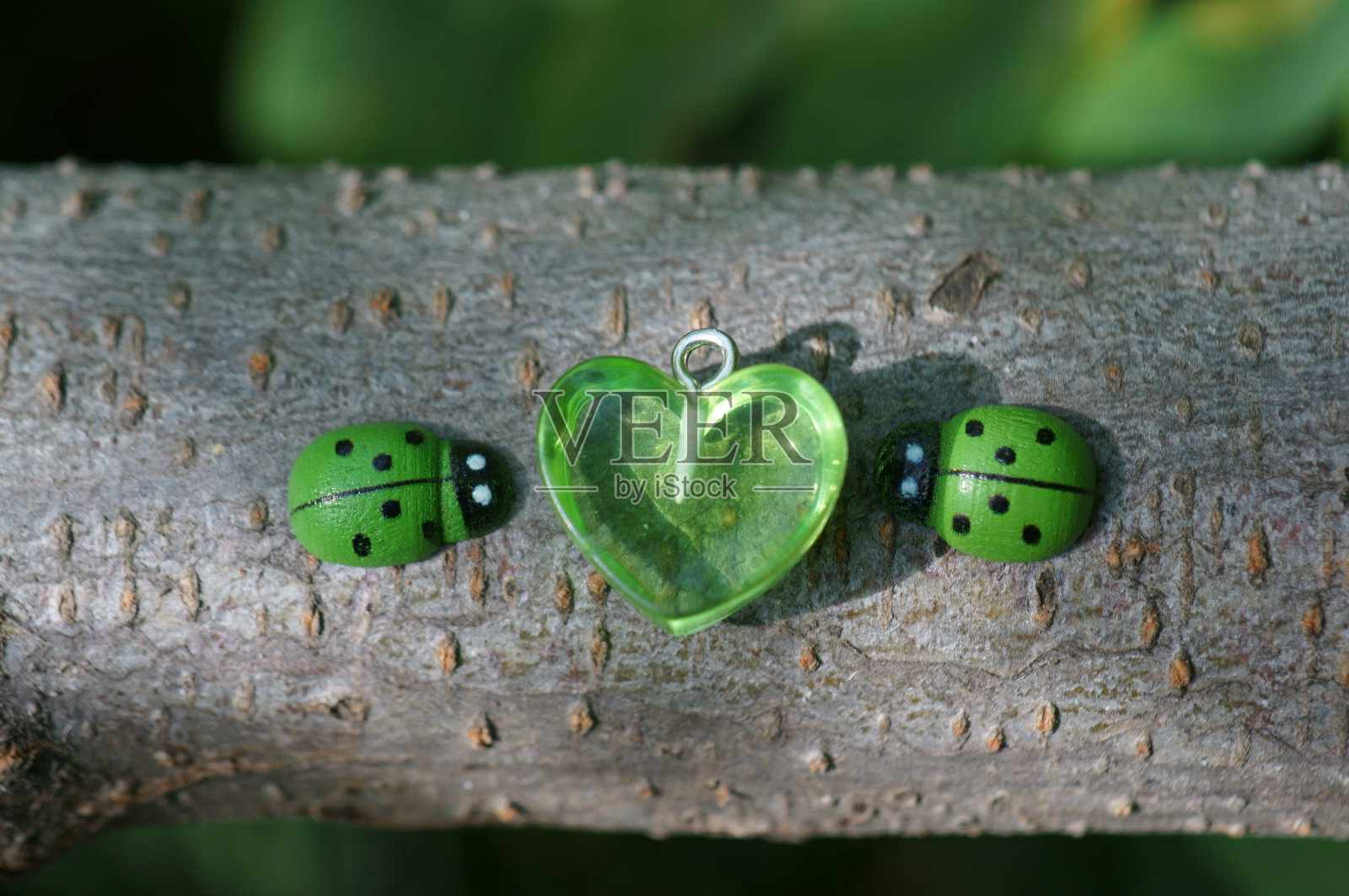 两个绿色的瓢虫。照片摄影图片