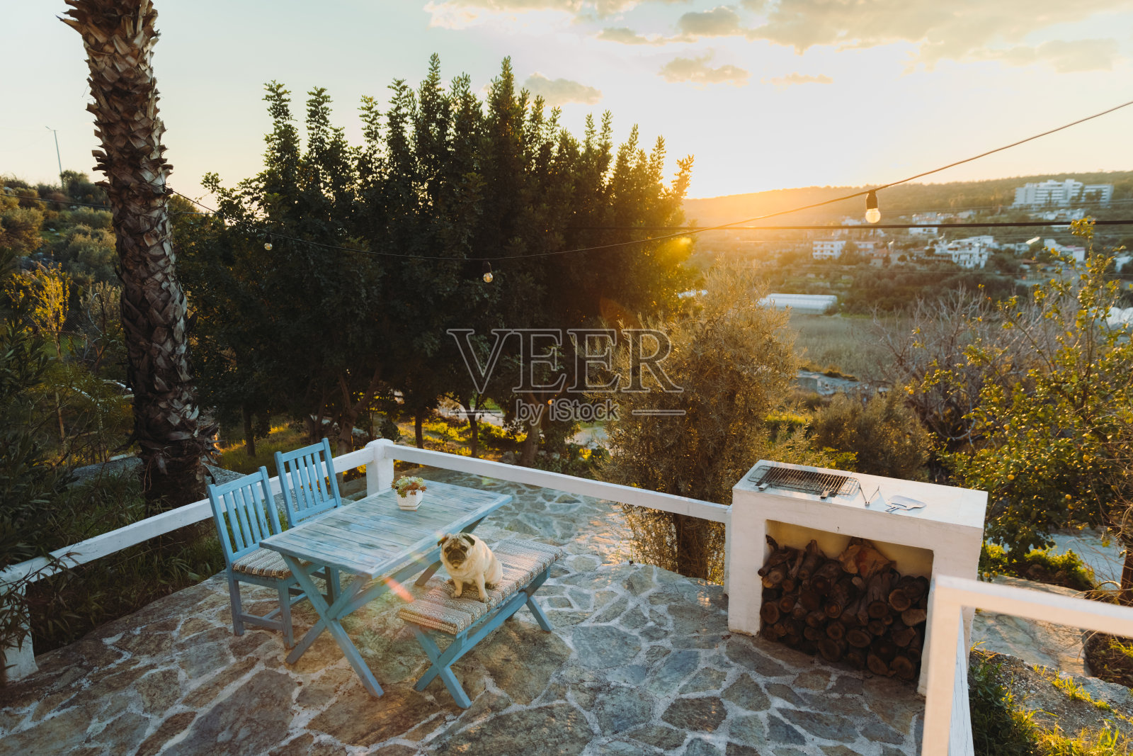 可爱的狗狗在美丽的露台上欣赏日落照片摄影图片