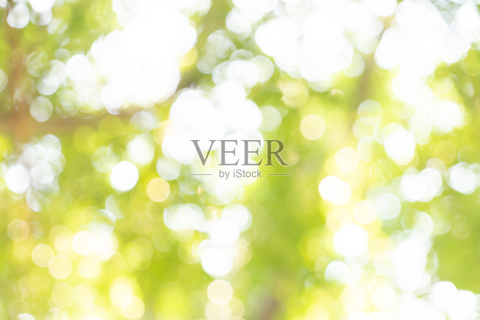 散景背景。元素的设计照片摄影图片