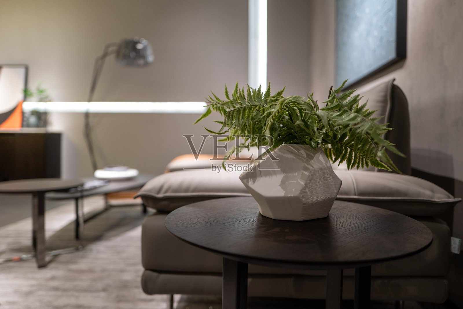 绿色植物和玻璃制品在家里的桌子上照片摄影图片