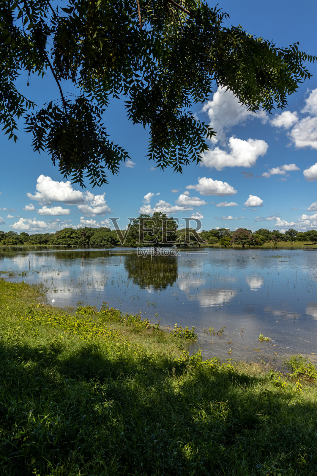 Januária市海滩的景色照片摄影图片