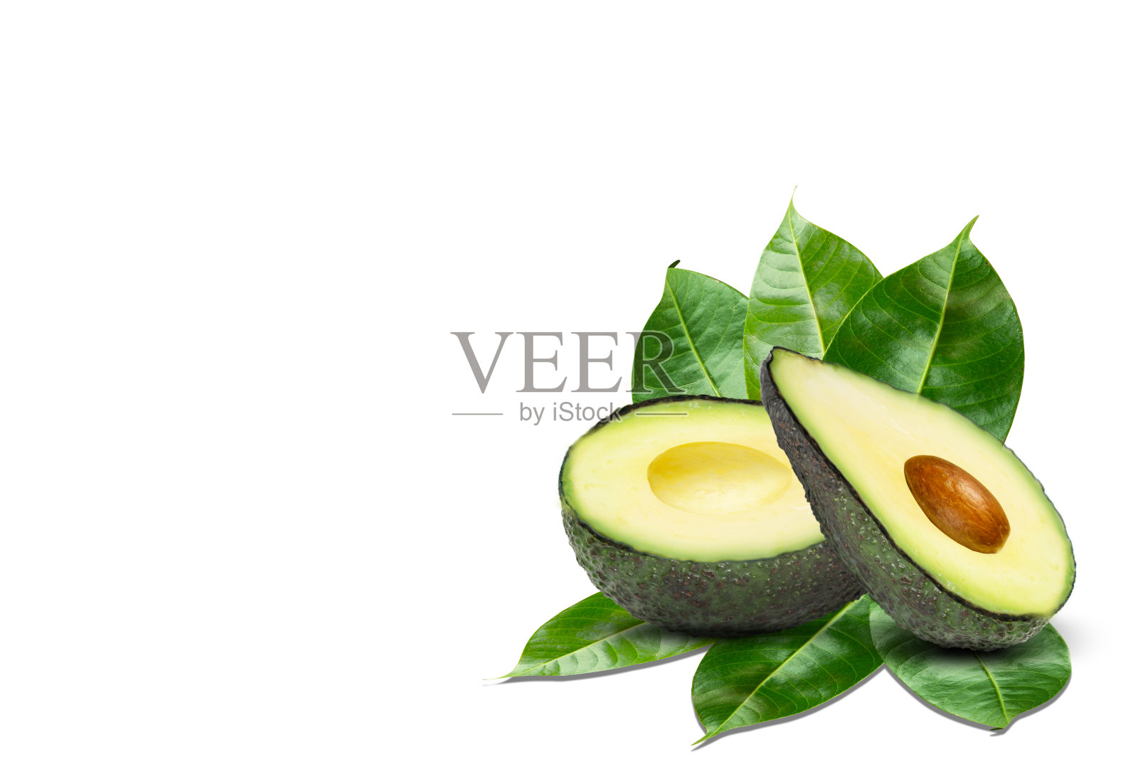 牛油果孤立在白色背景照片摄影图片