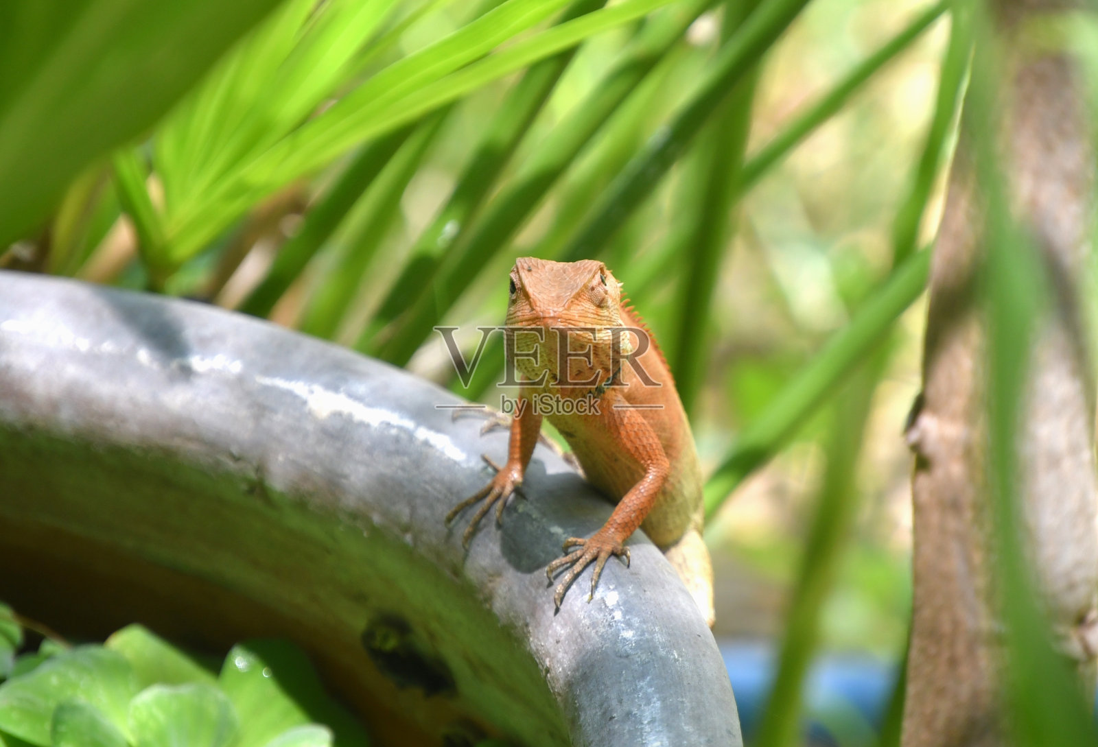 分支机构照片摄影图片
