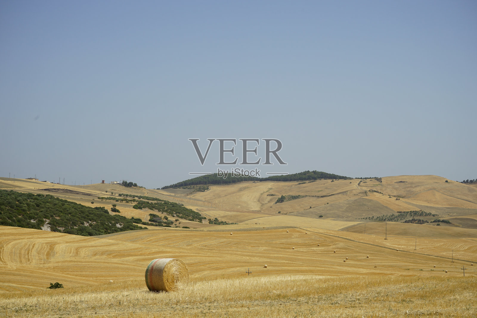 有黄色干草捆的乡村风景照片摄影图片