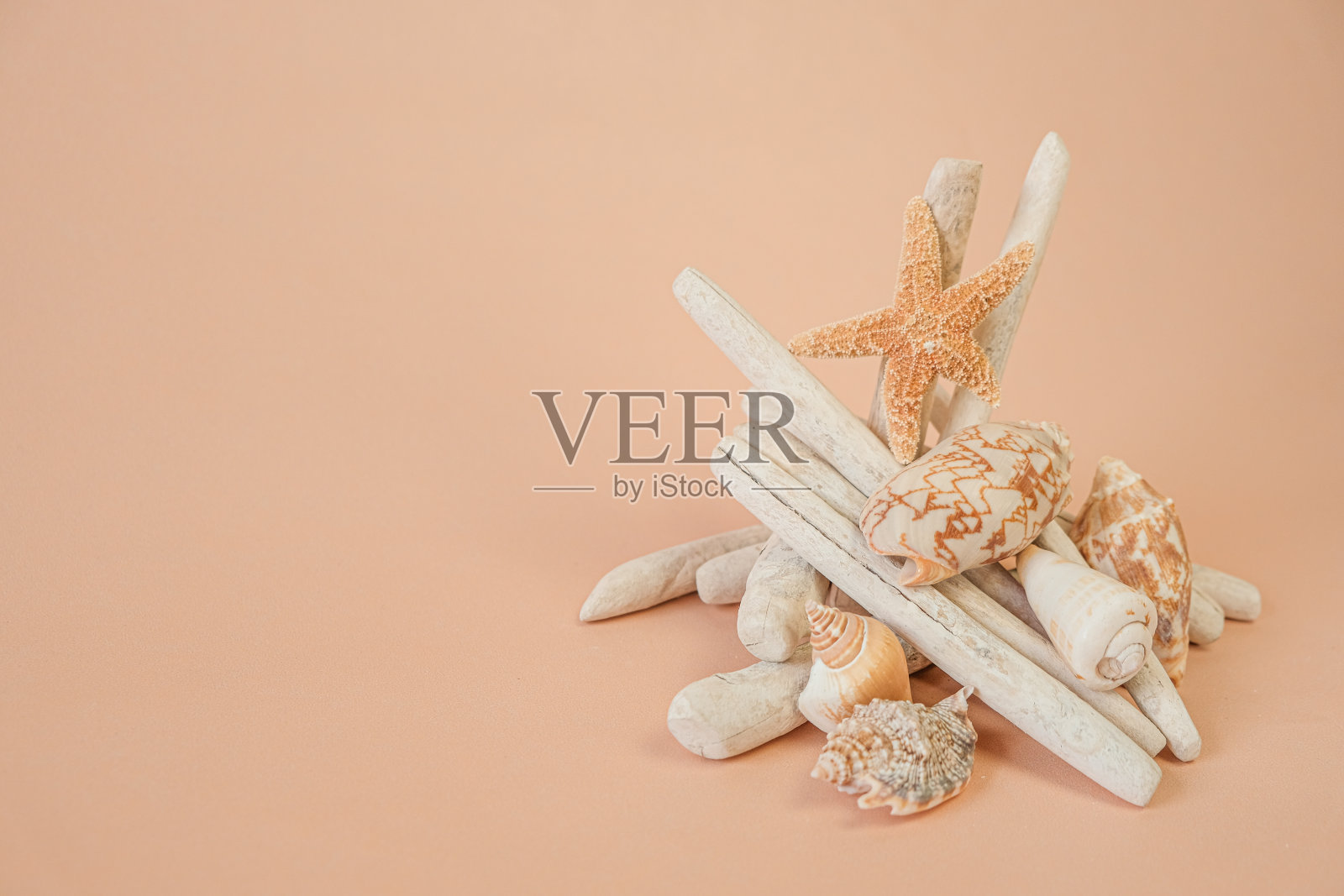 浮木条，白色海星，白色渔网，天然木材装饰，航海风格。夏季的海洋组成在米色色调。浮木的背景。照片摄影图片