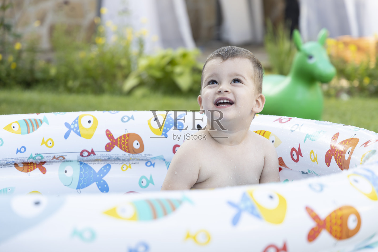 小男孩在家后院的游泳池里玩照片摄影图片