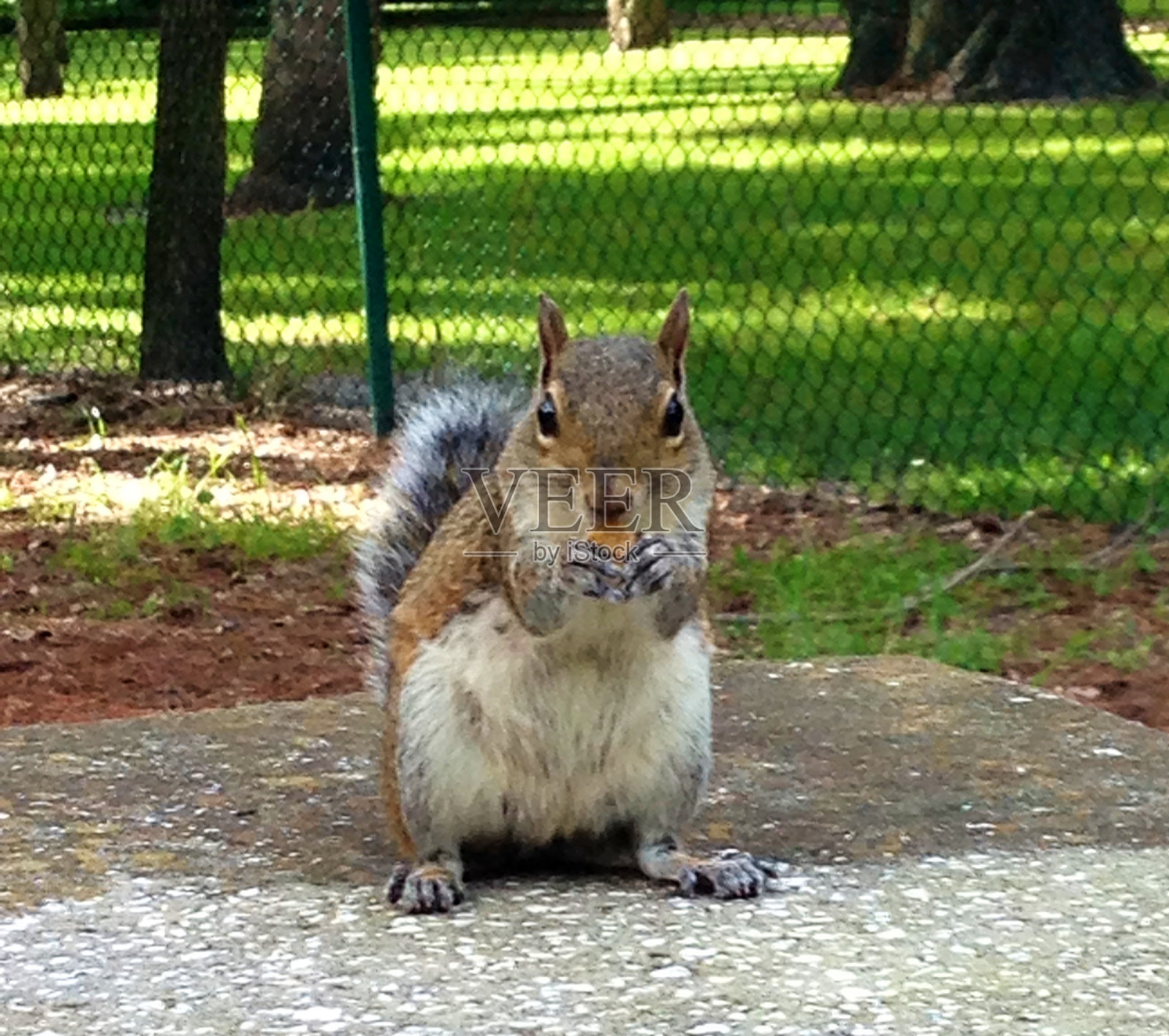 早餐照片摄影图片