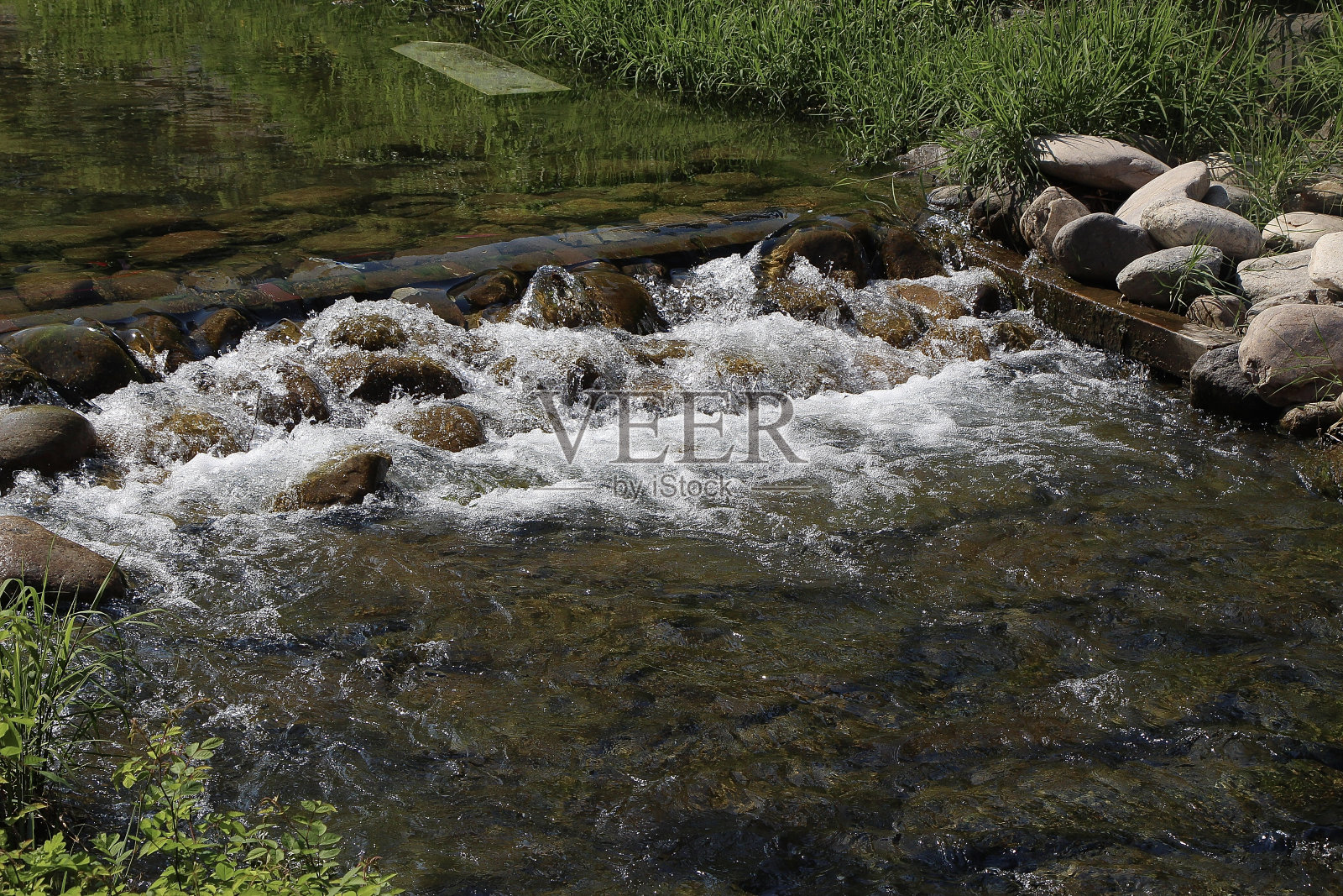 夏日阳光下的首尔南山公园照片摄影图片