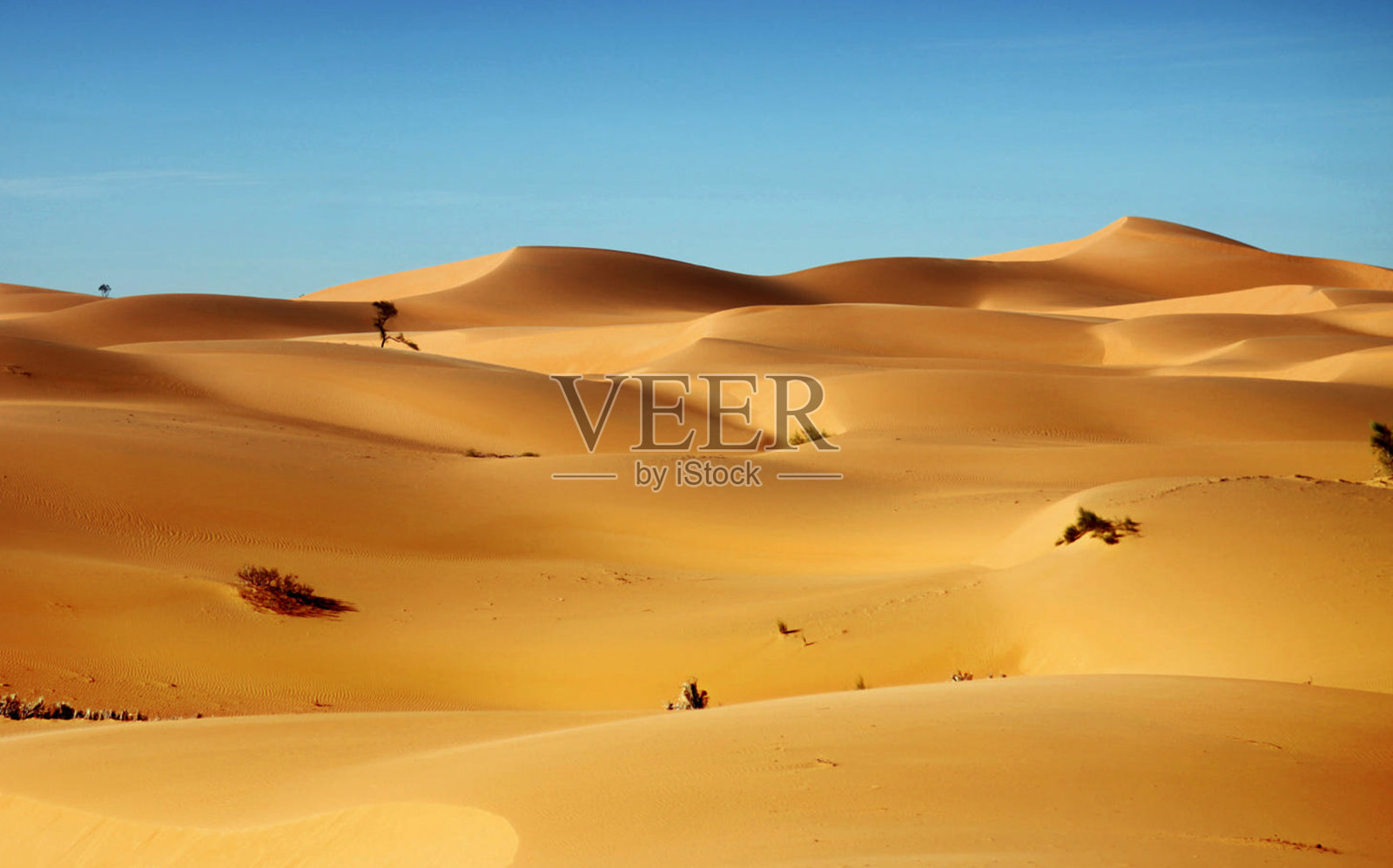 美丽的撒哈拉沙漠照片照片摄影图片