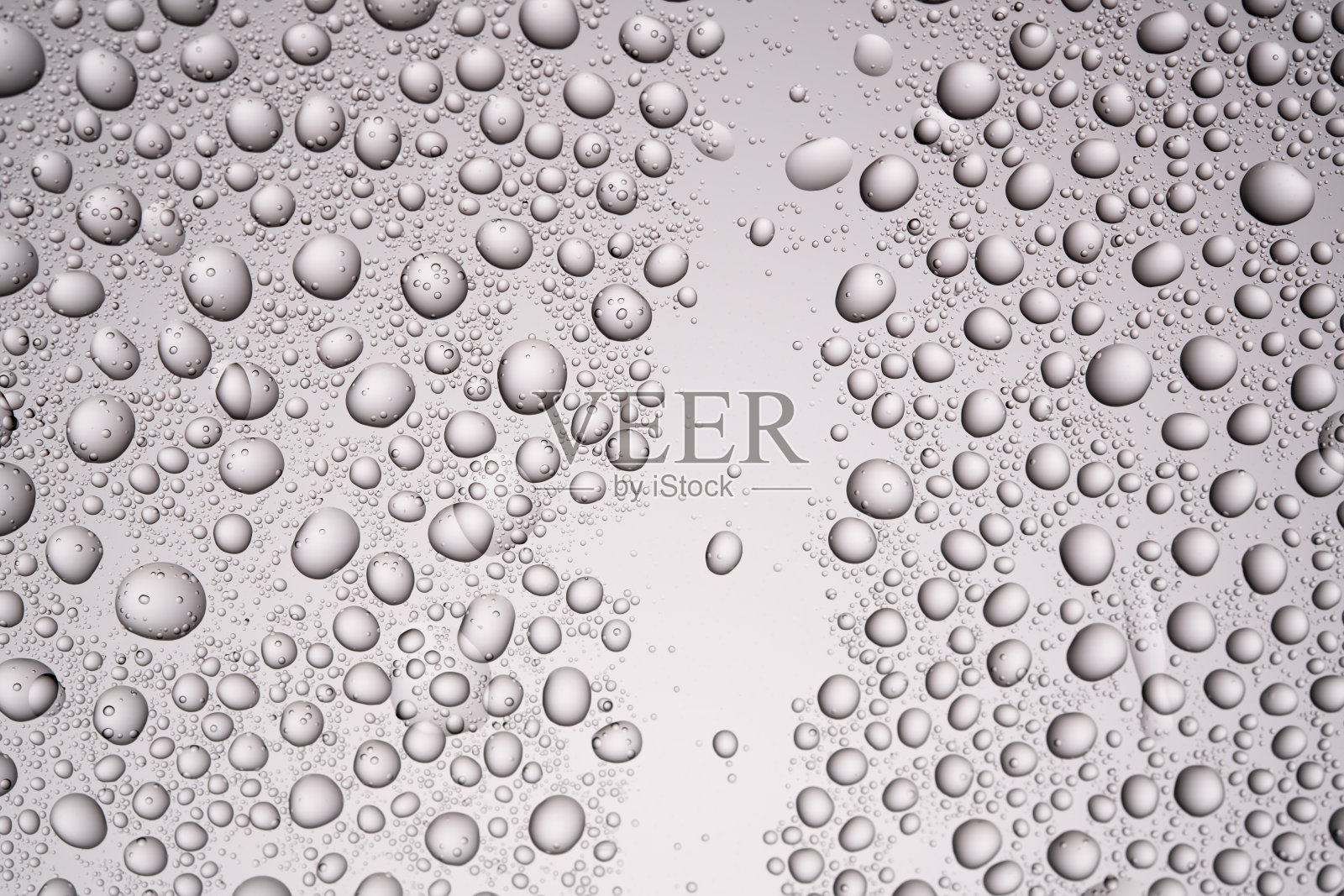 透明灰色背景上的水滴。照片摄影图片