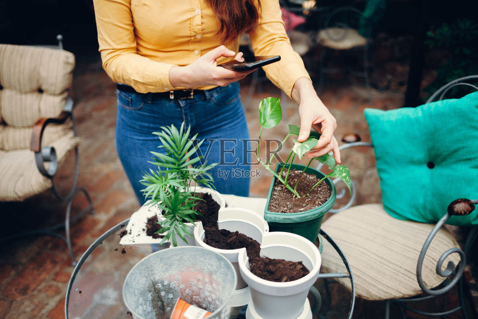 女人在家花园使用手机照片摄影图片