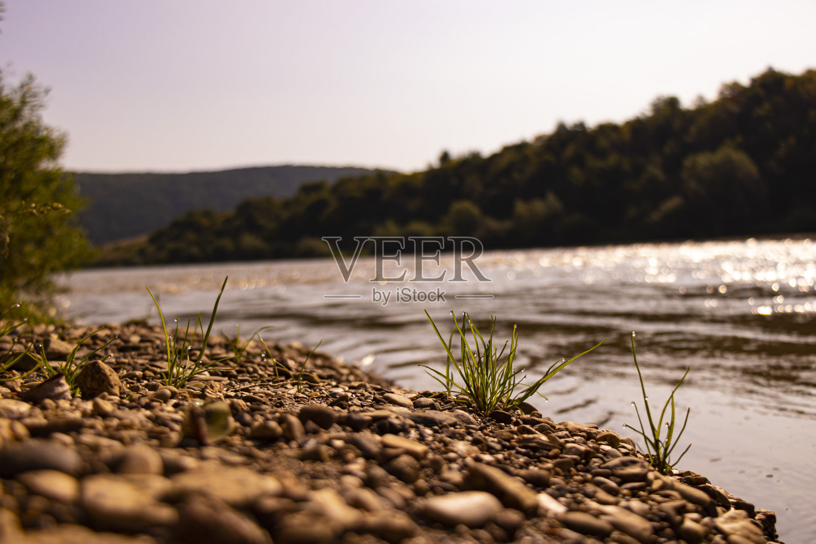 夏天的沙滩上长满了草照片摄影图片