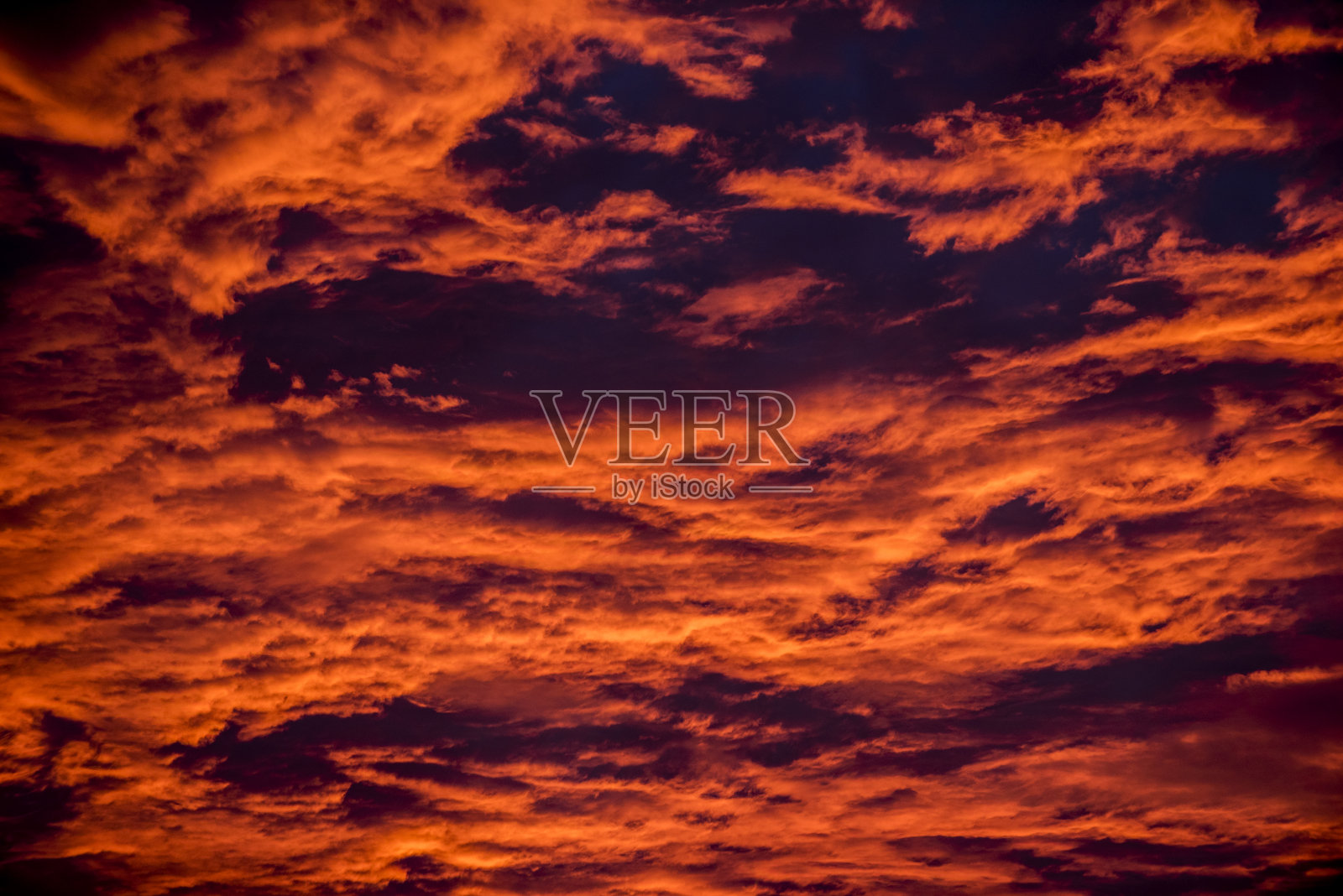 阿本德罗特照片摄影图片