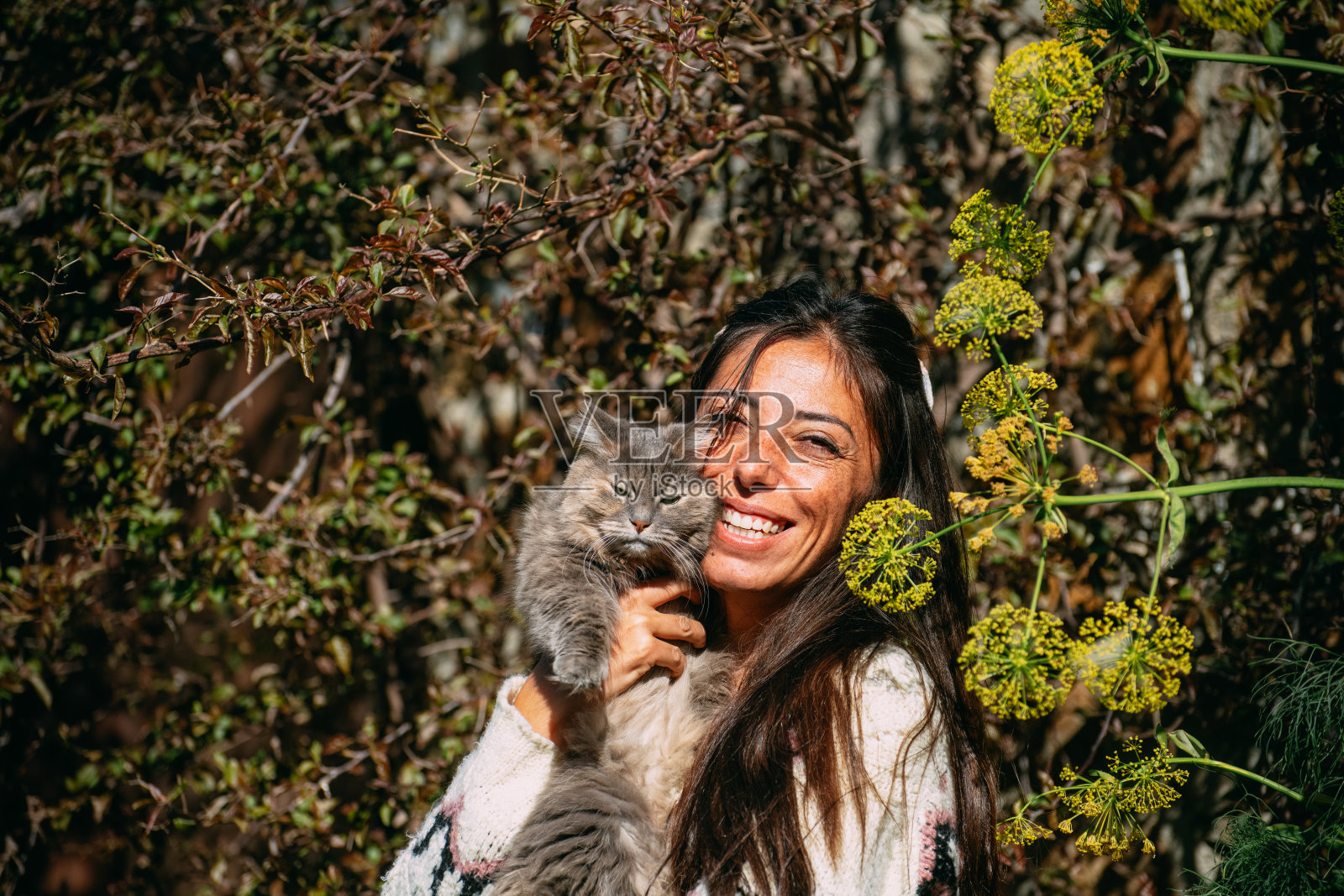 年轻女子在花园里拥抱她的猫照片摄影图片