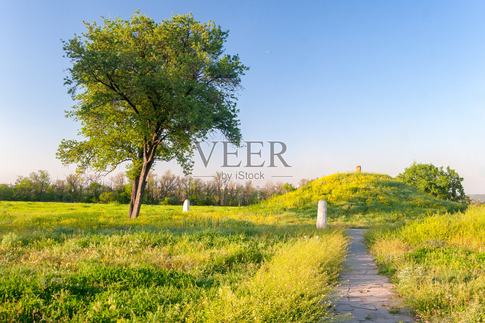 春天，乌克兰扎波罗热岛的纪念旅游综合体上，有一棵树和斯基泰石像的景观照片摄影图片