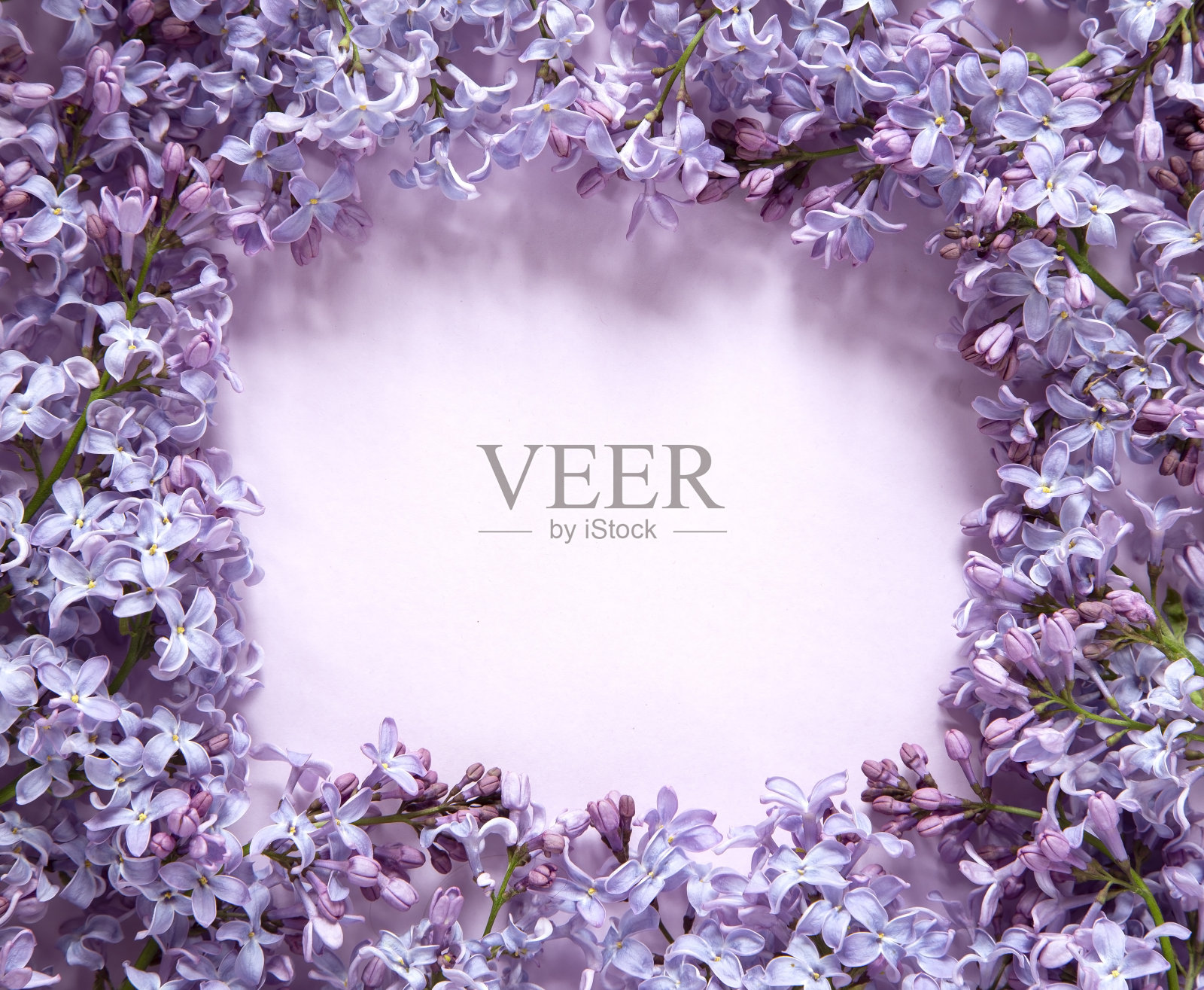 植物成分照片摄影图片