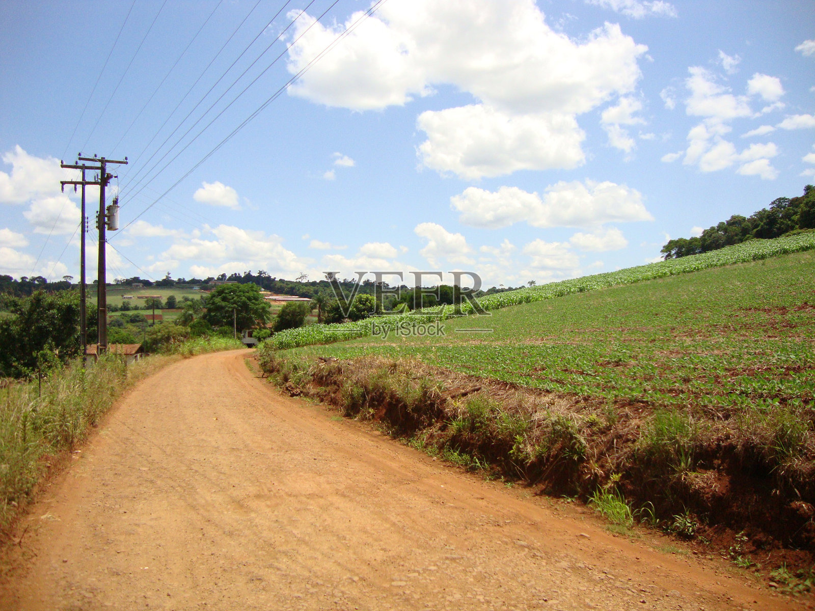 巴西南部农村的土路照片摄影图片