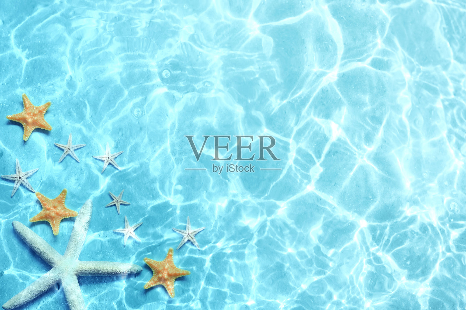 海星在夏天的海滩上的海水。夏天的背景。照片摄影图片