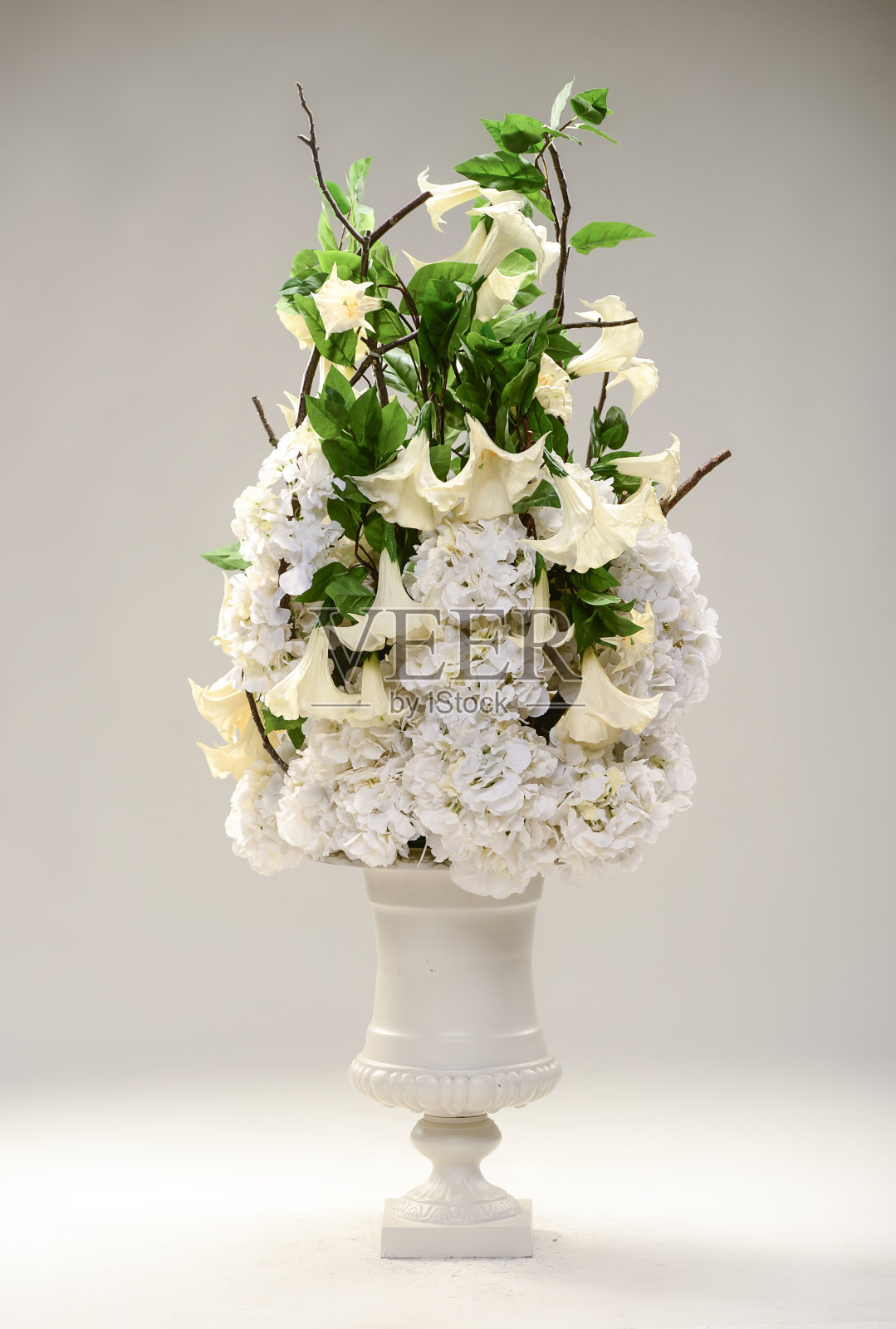 白花花瓶照片摄影图片