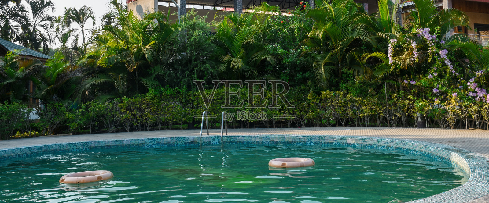 碧水泳池，绿意盎然照片摄影图片