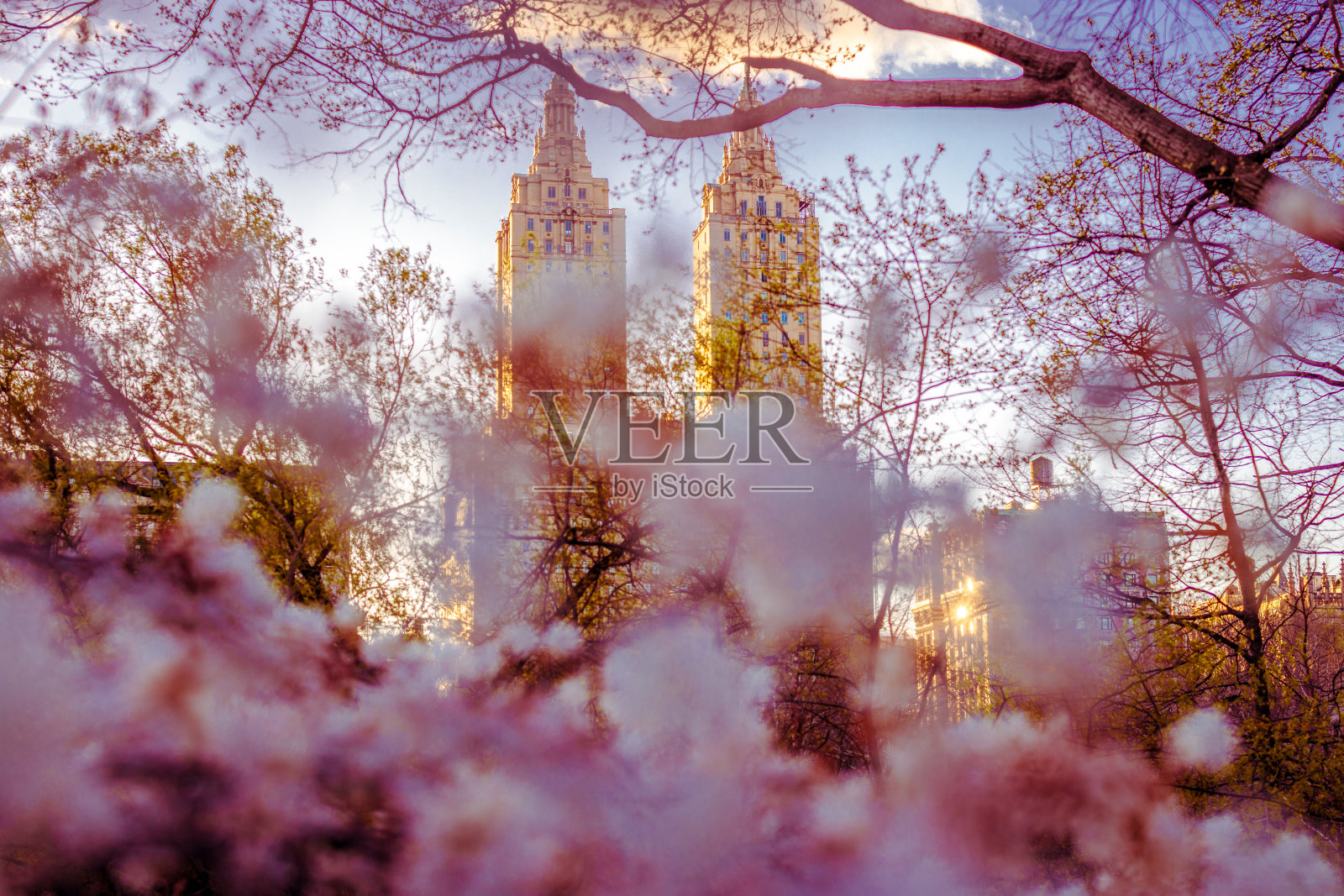 中央公园西塔楼照片摄影图片