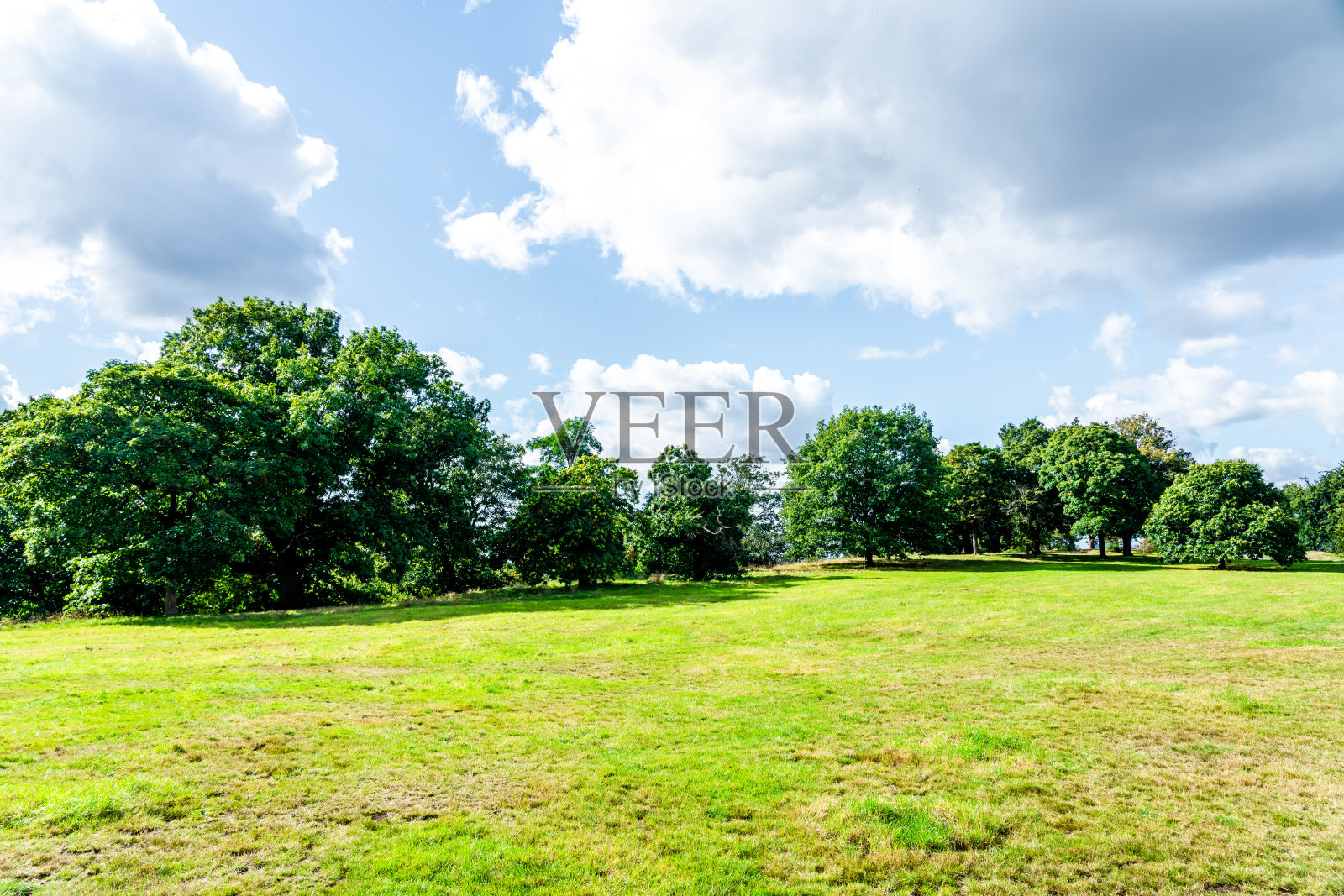 景观公园照片摄影图片