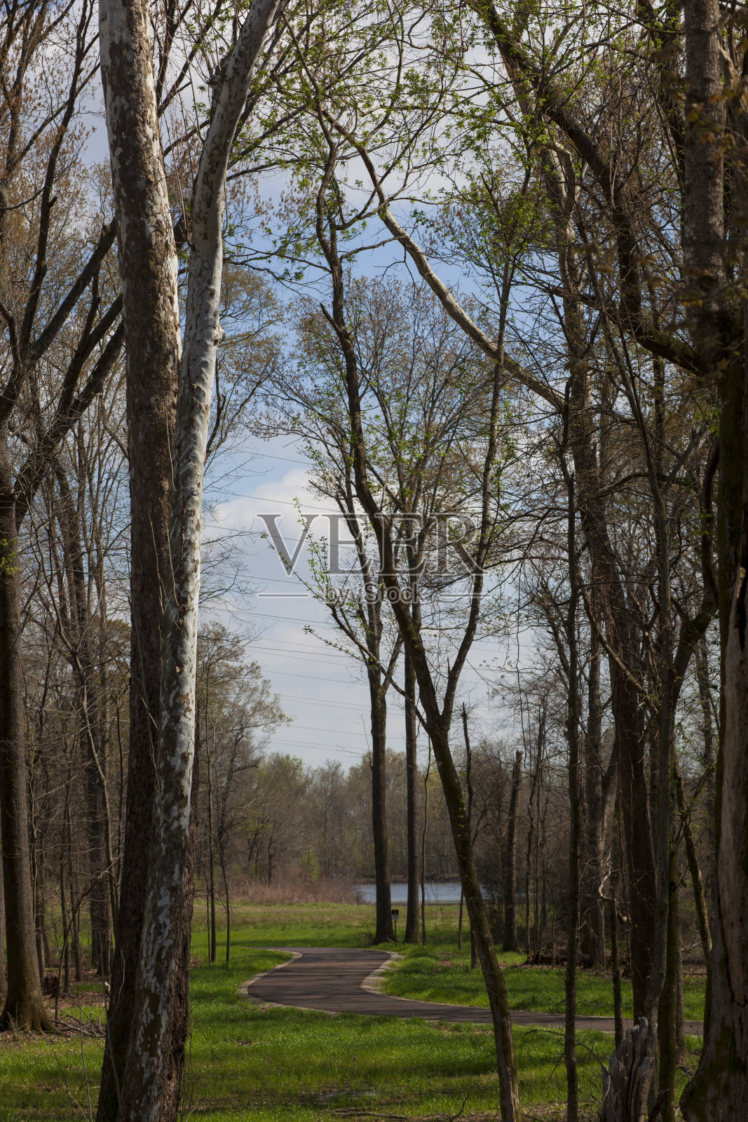 散步、跑步和骑自行车的小路在公园里。照片摄影图片