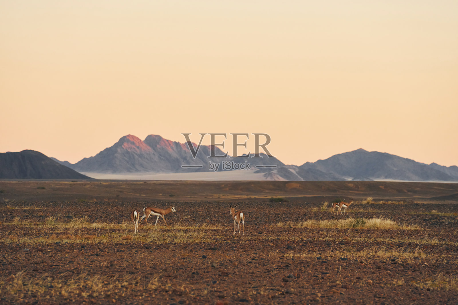 山在远处。非洲沙漠的壮丽景色照片摄影图片