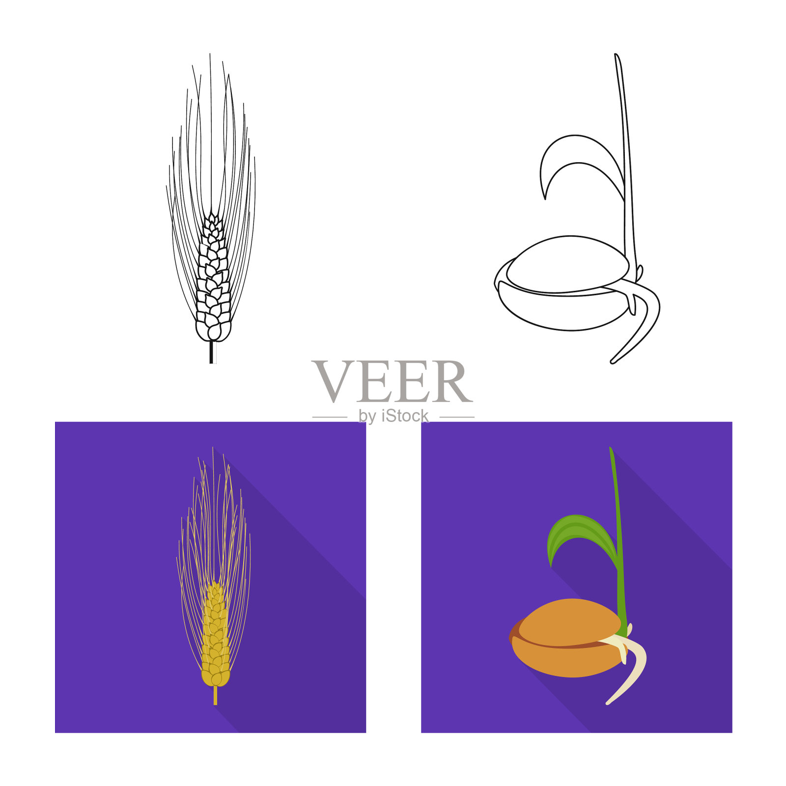 孤立的对象农业和农业标志插画图片素材