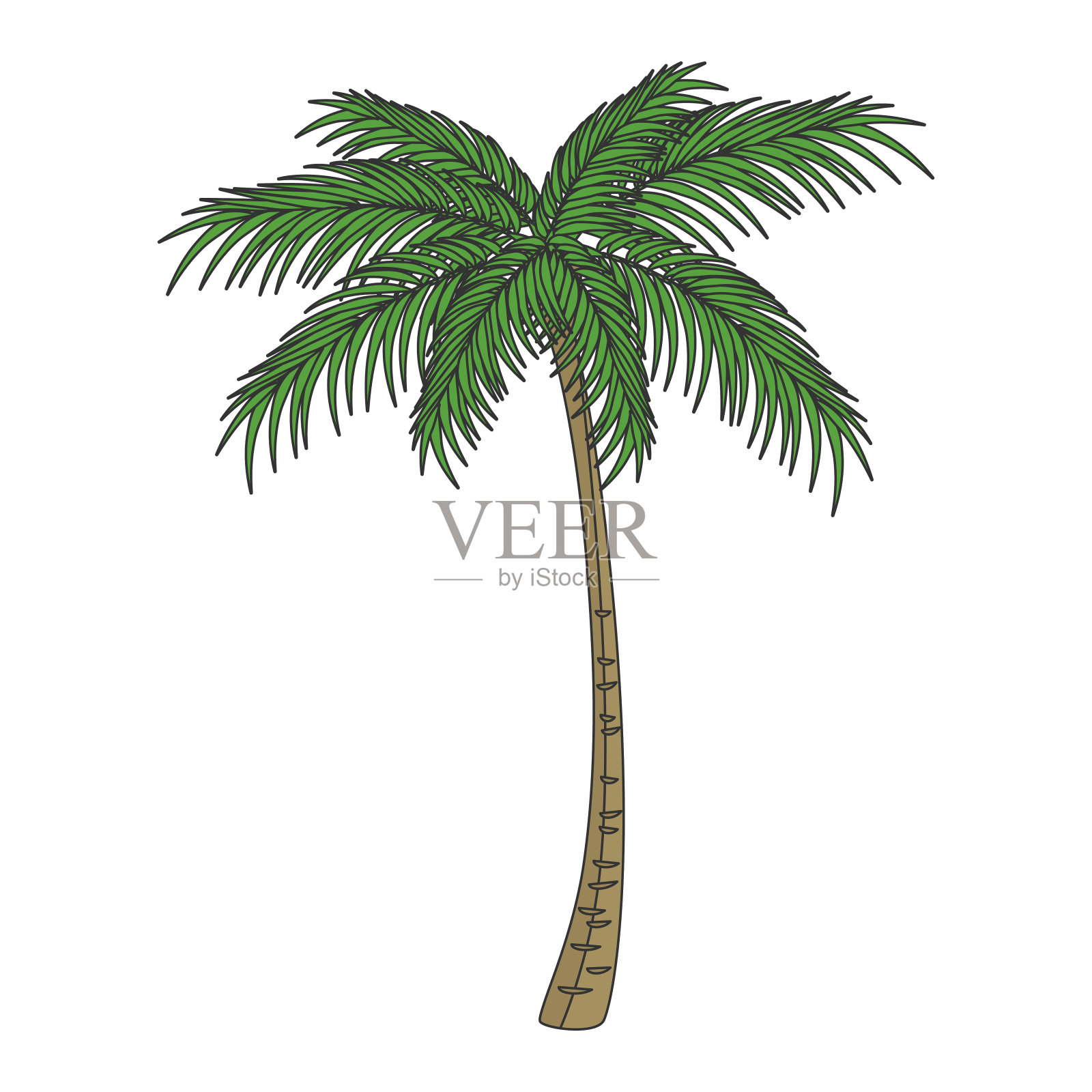 手绘风格矢量图的棕榈树孤立的背景。设计元素图片