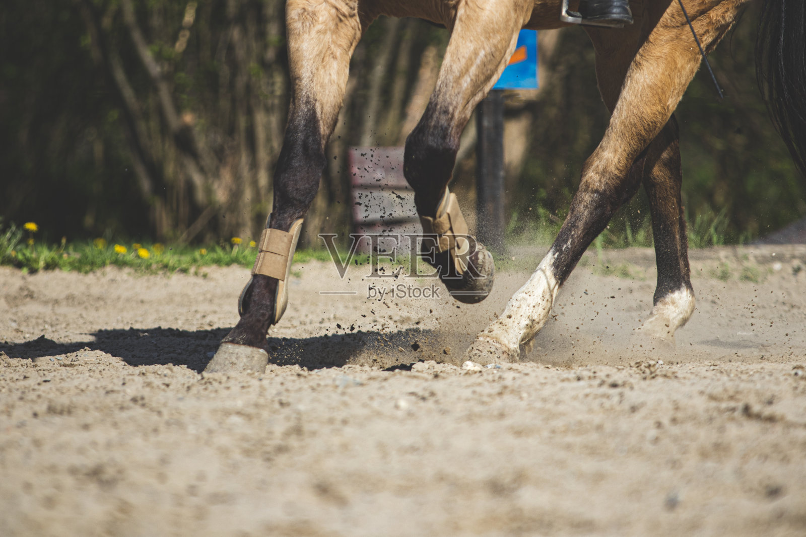 马飞奔的腿细节照片摄影图片