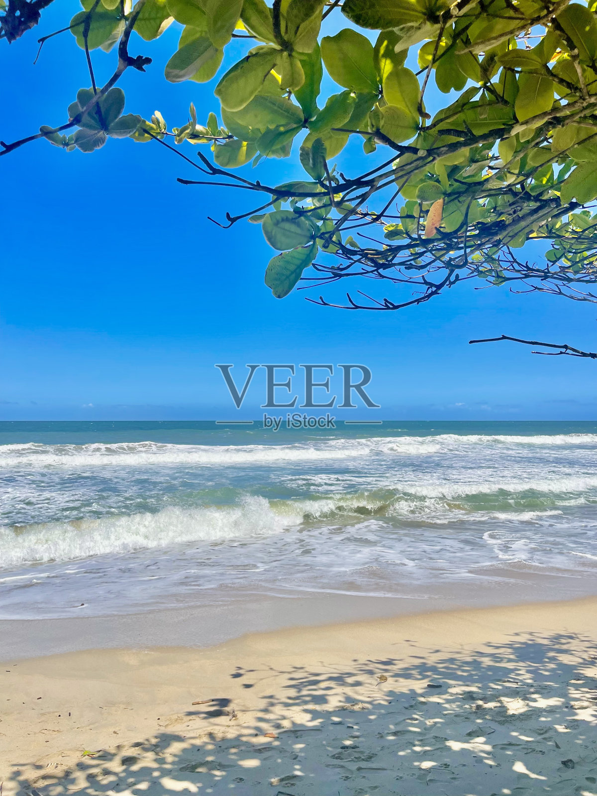 阳光，大海和沙滩照片摄影图片