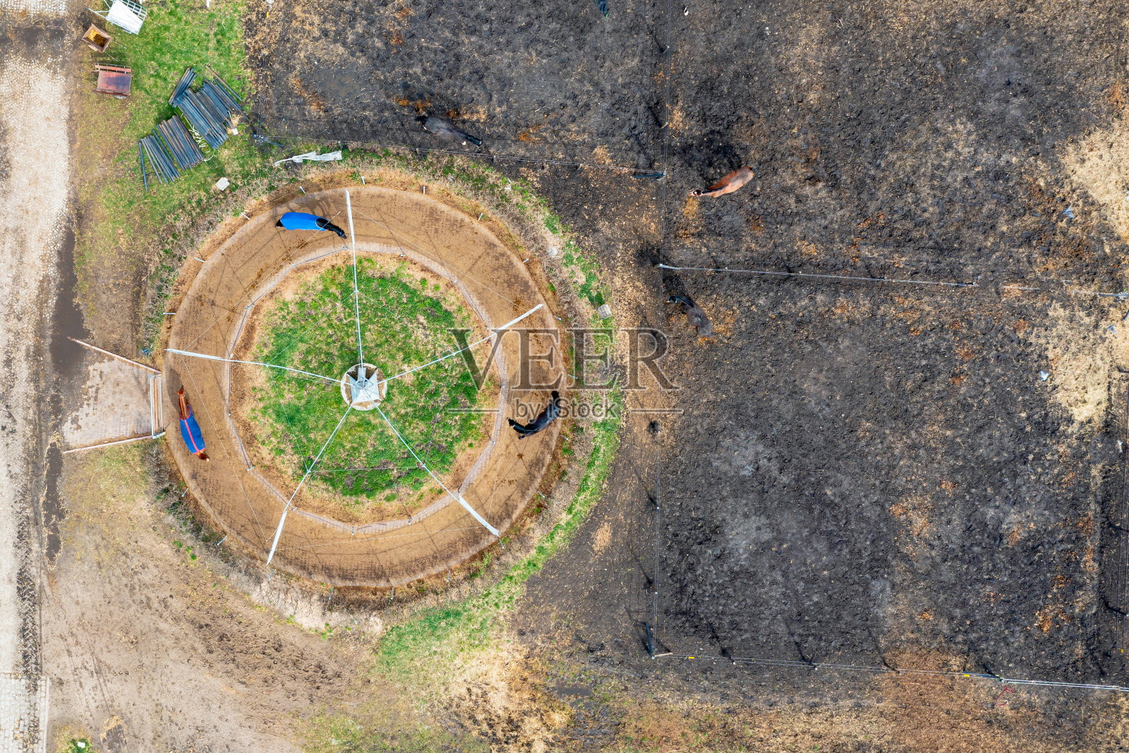 骑马，俯视图，实地骑马训练，骑马训练照片摄影图片