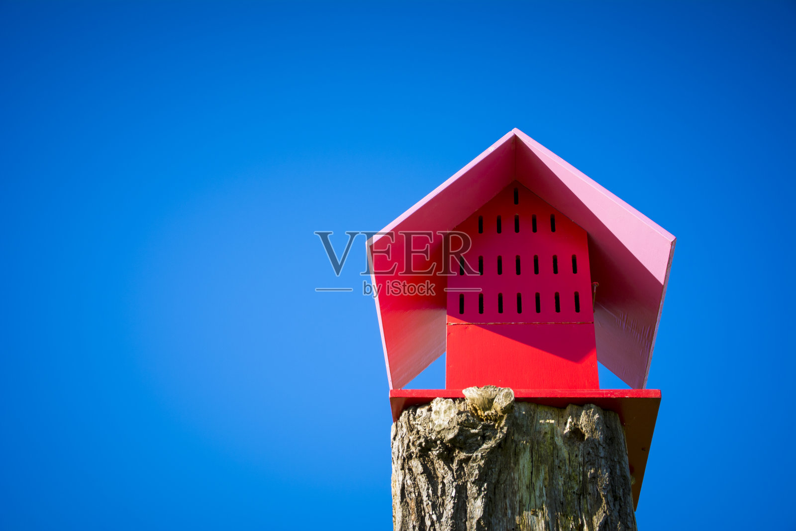 鲜艳的红色蝴蝶筑巢的房子映衬着蓝天。照片摄影图片