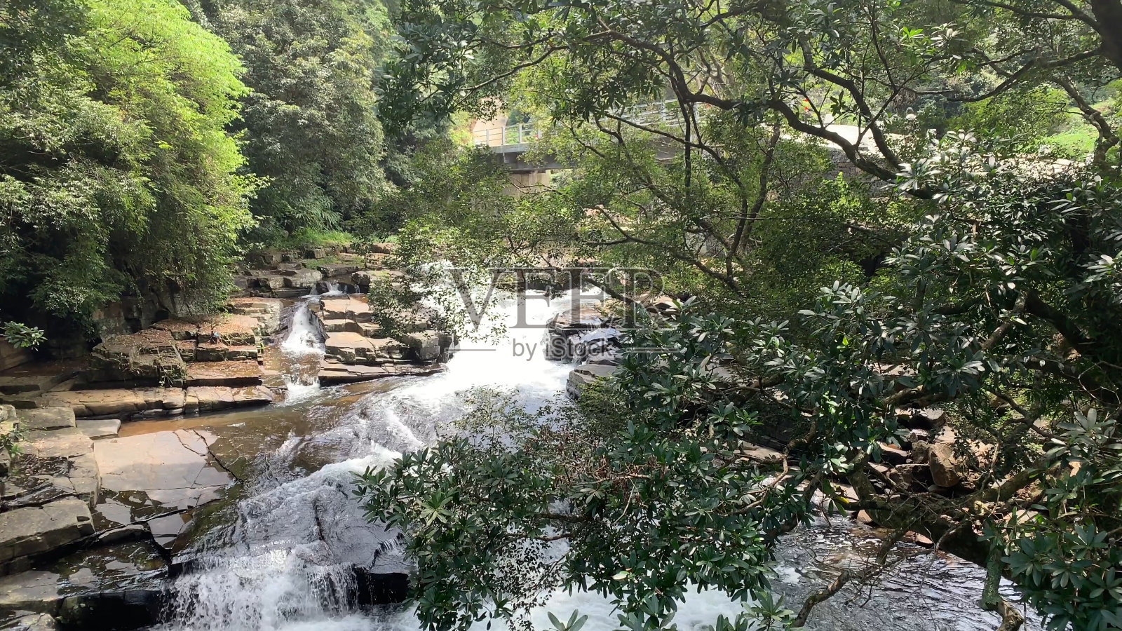 河流在斯里兰卡自然照片摄影图片