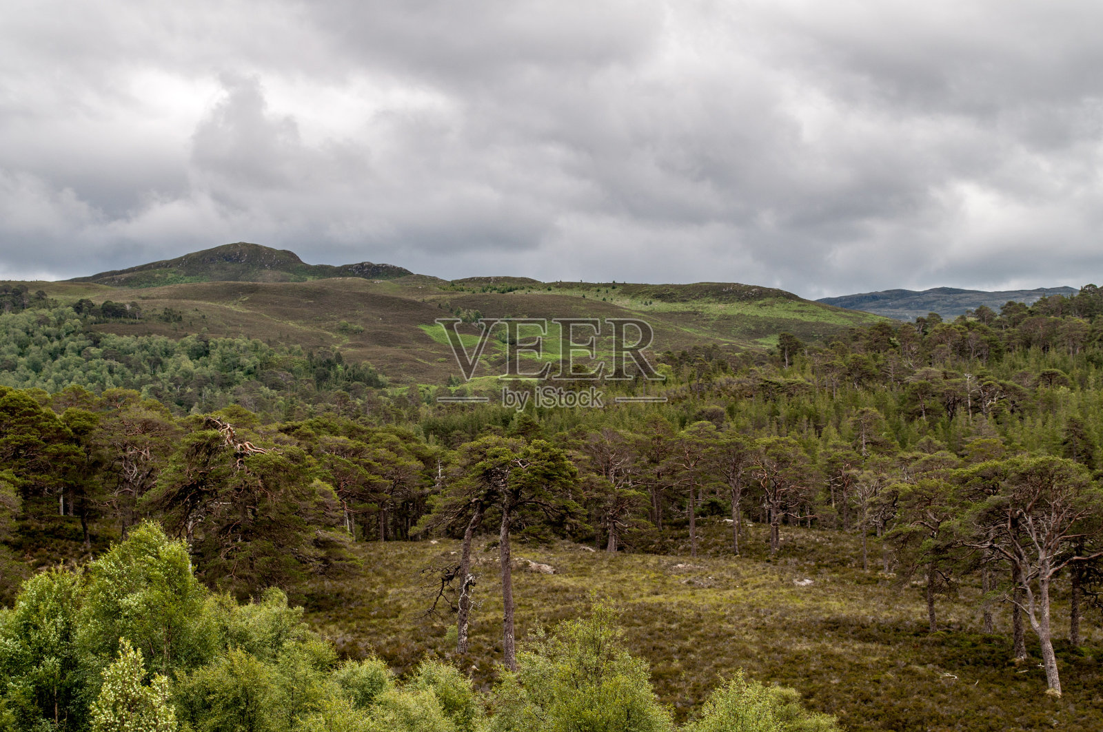 苏格兰典型的森林和树木景观被称为非洲峡谷照片摄影图片