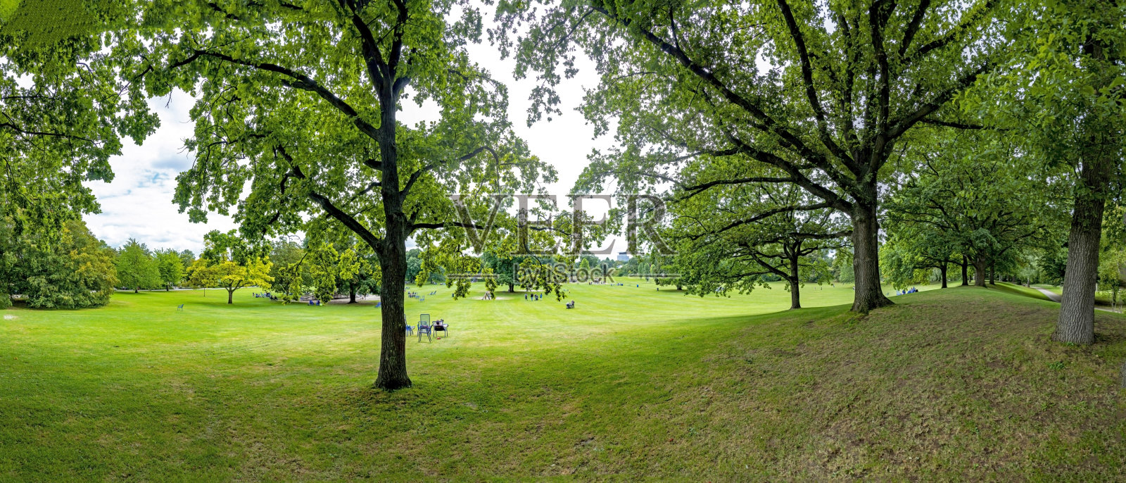 曼海姆的风景公园，树木和草地照片摄影图片