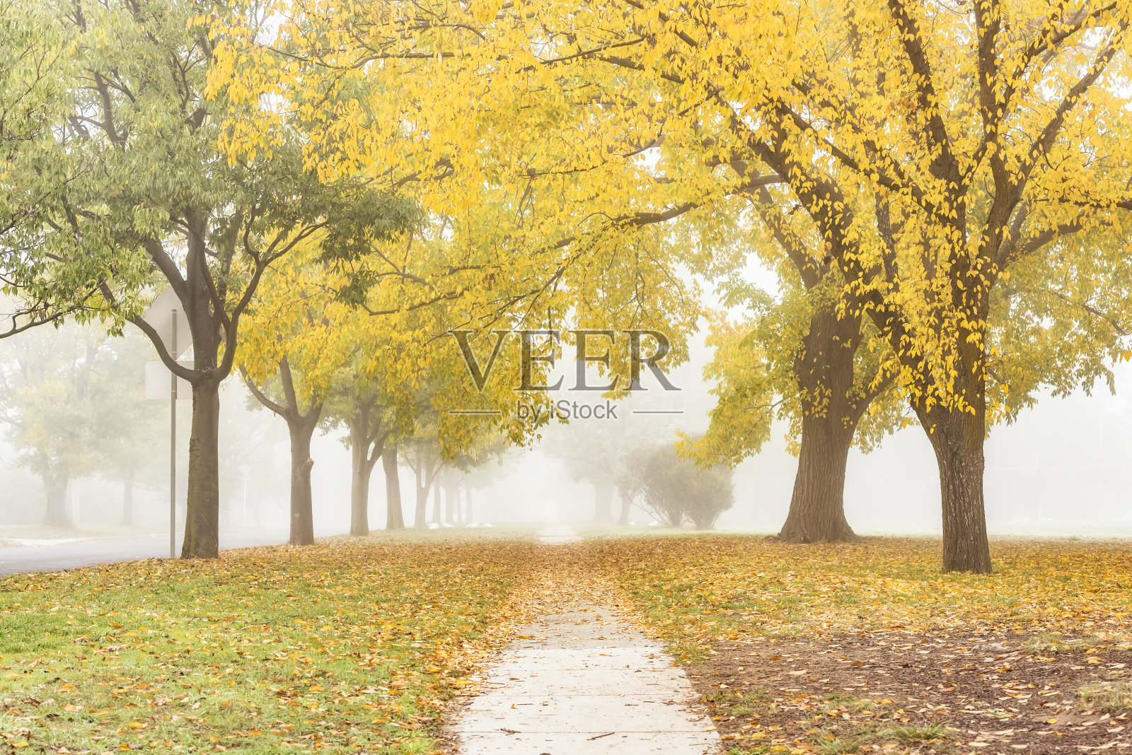 美丽的秋景在一个城市的角落。照片摄影图片