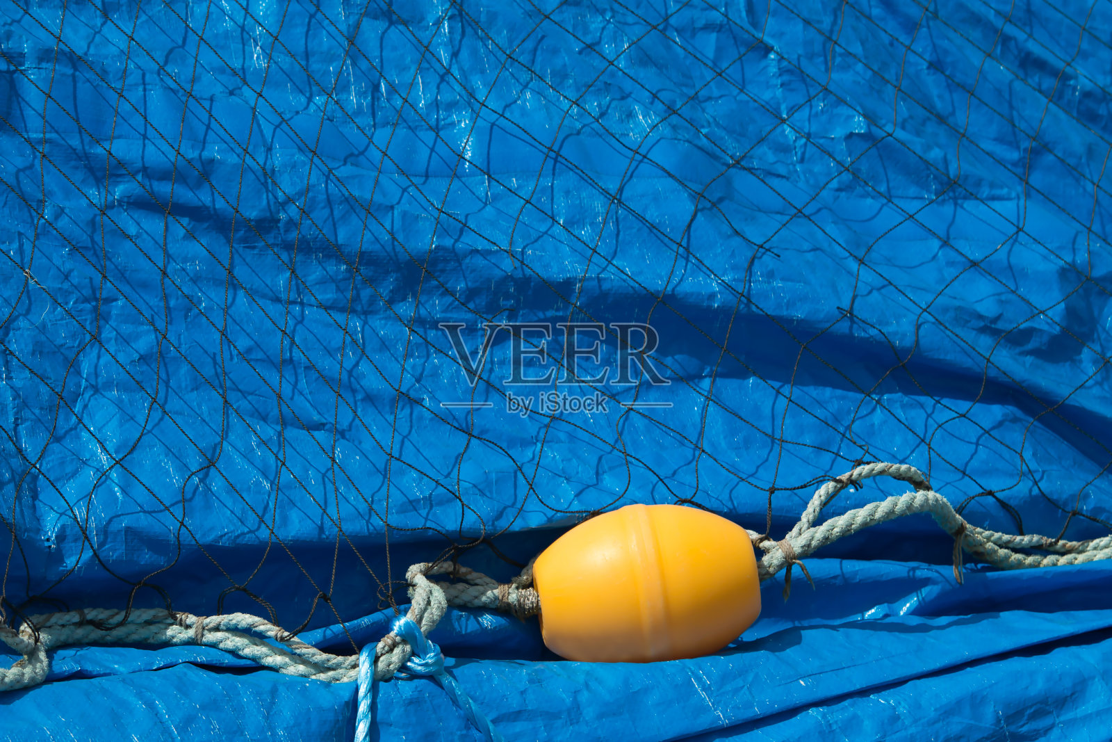 黄色的鱼浮在蓝色的塑料布上照片摄影图片