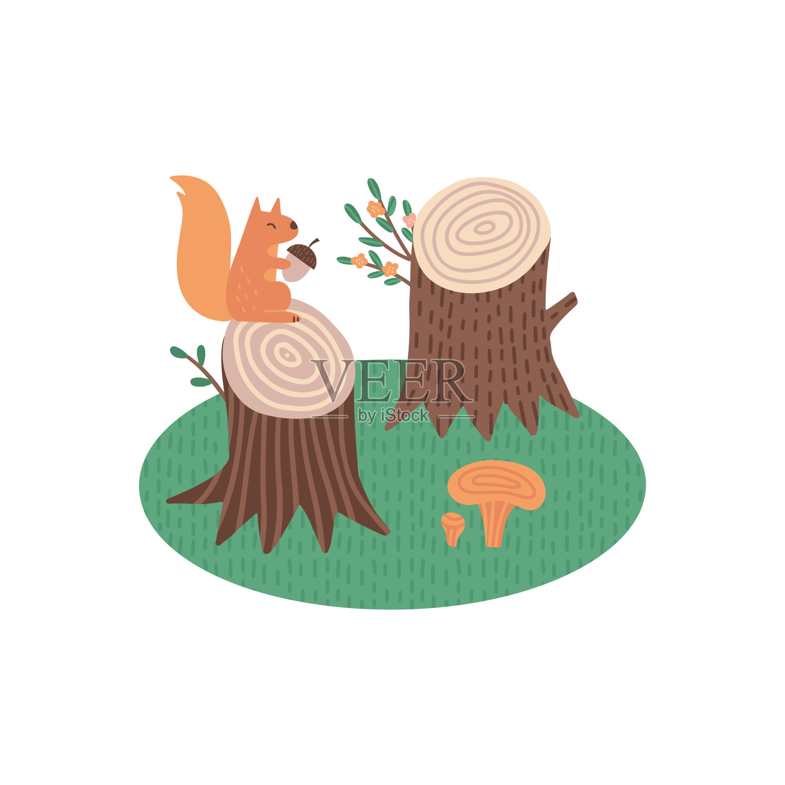 可爱的松鼠站在树桩上，上面有蘑菇和橡子或坚果。孤立的夏季森林印花概念。森林动物病媒插图。很适合做苗圃装饰，儿童海报，卡片，儿童纺织品印花。插画图片素材