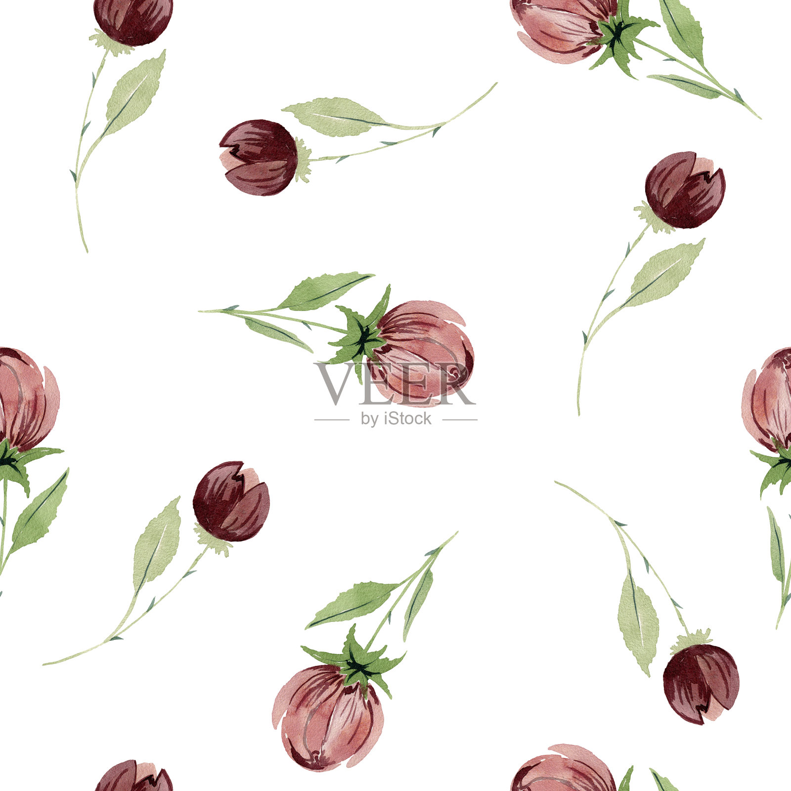 玫瑰水彩图案插画图片素材