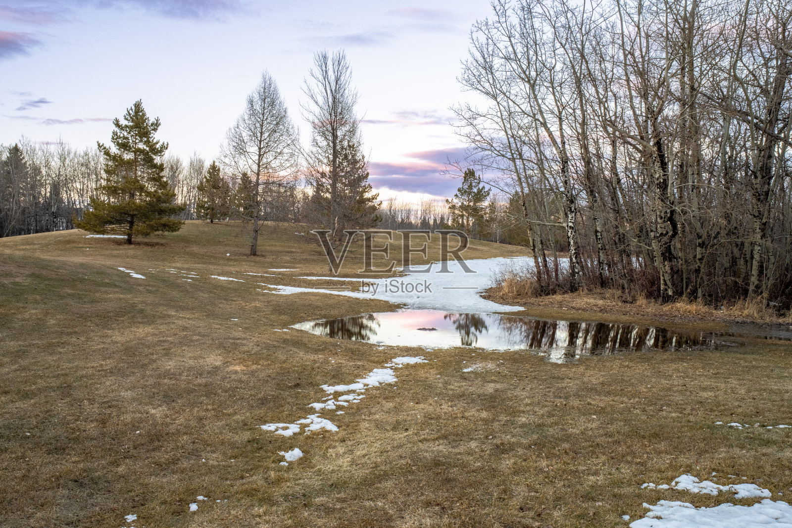 城市公园景观照片摄影图片