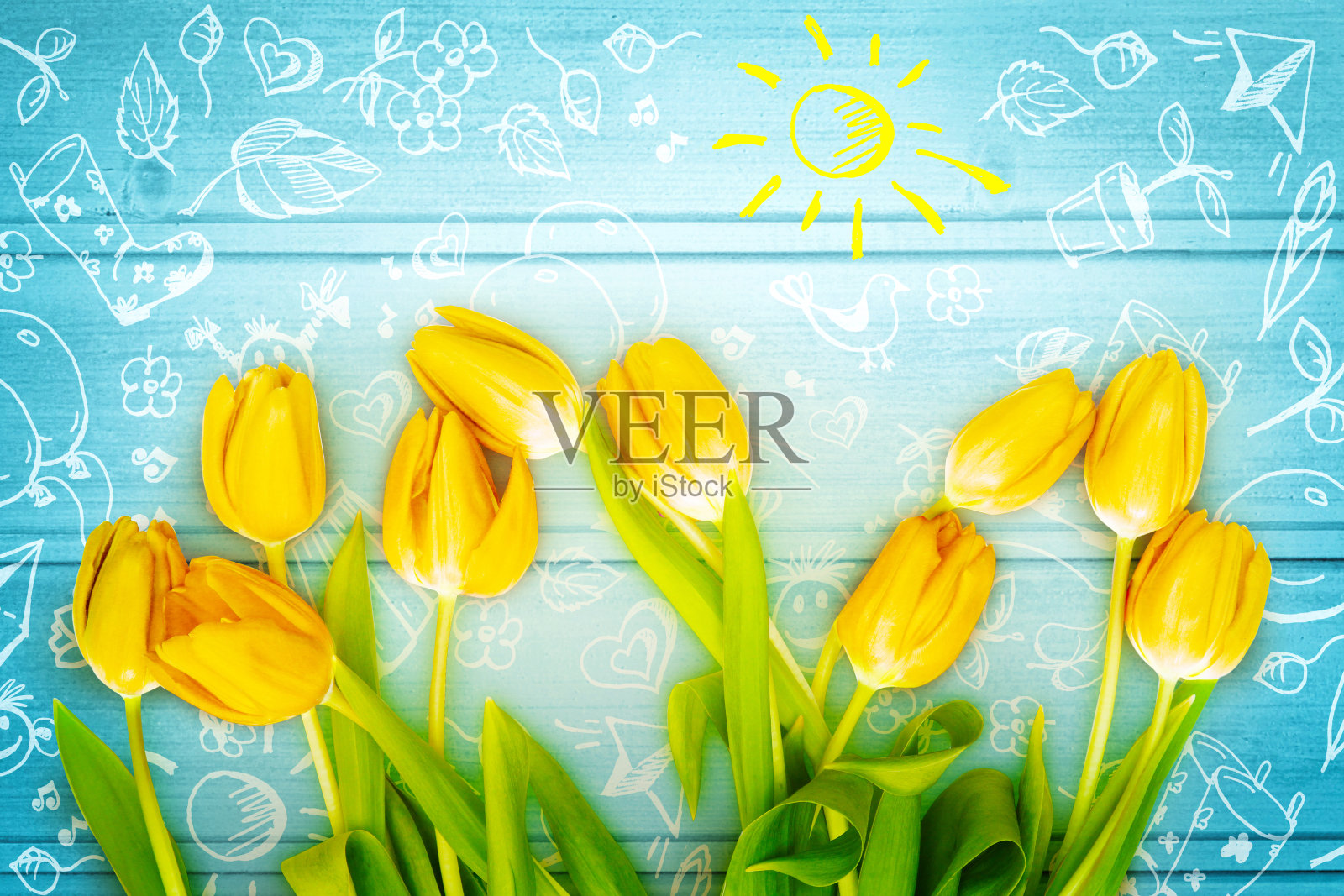 美丽的郁金香。网页横幅和卡片设计的春天自然背景。照片摄影图片