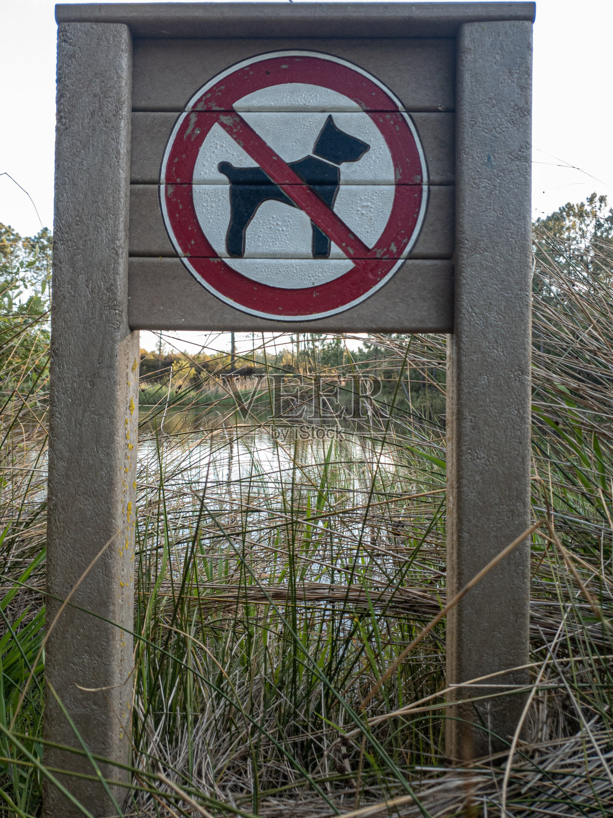 木制底座上的禁犬或禁兽标识牌照片摄影图片