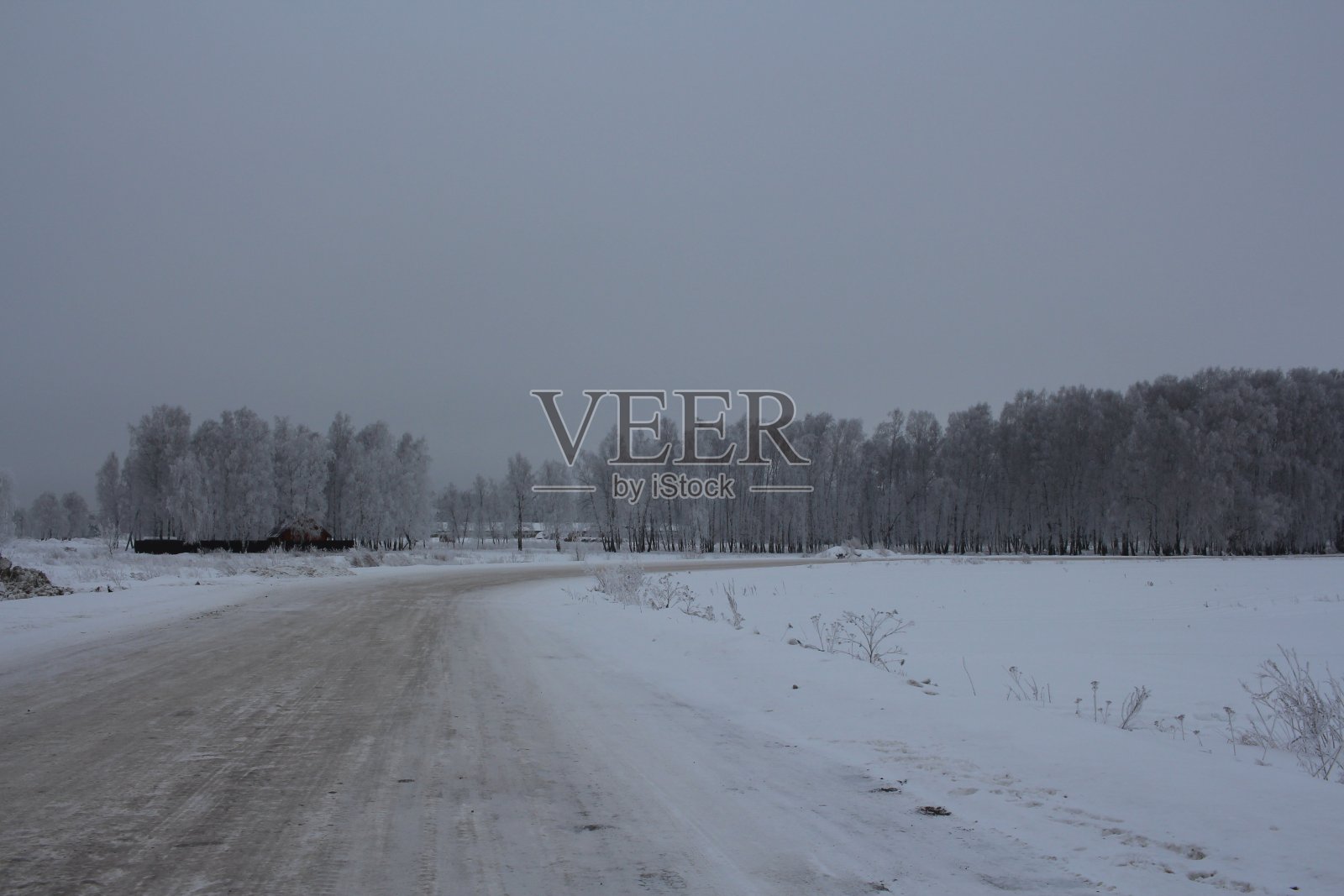 冬季道路空旷，穿越森林通道，供汽车在雪地里用树木景观照片摄影图片