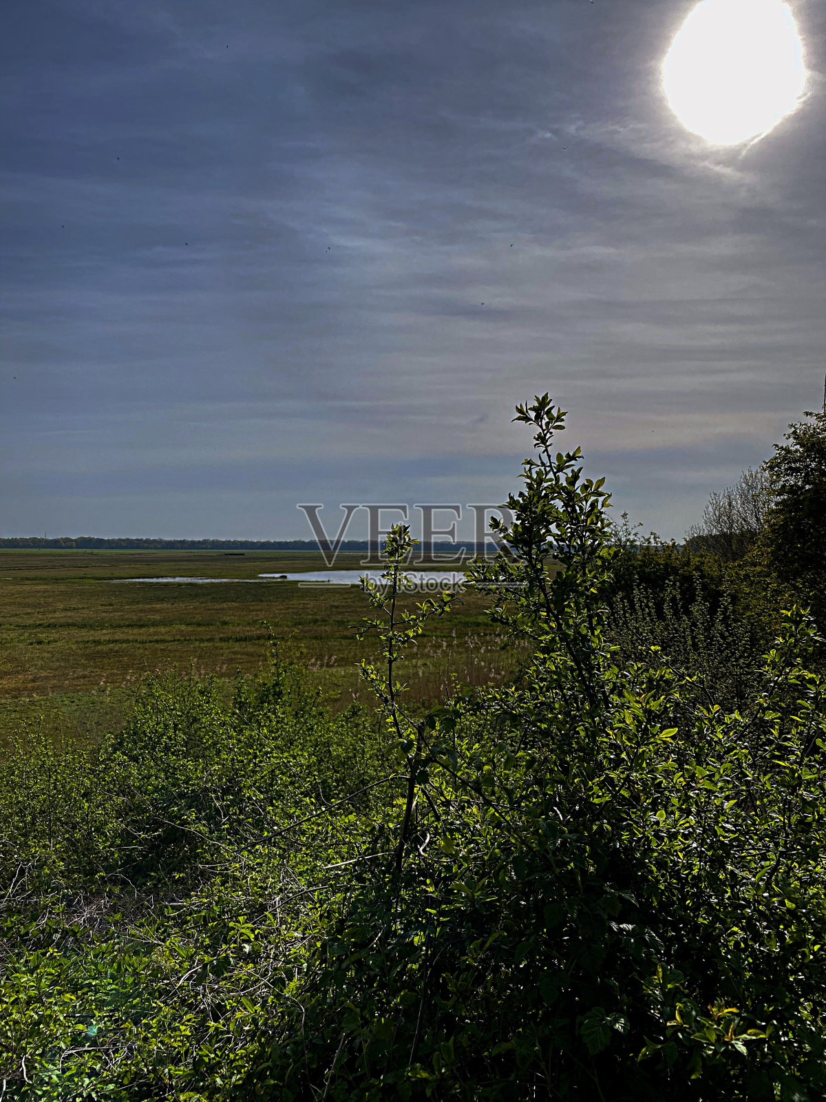 Vughtse Gement的景色照片摄影图片