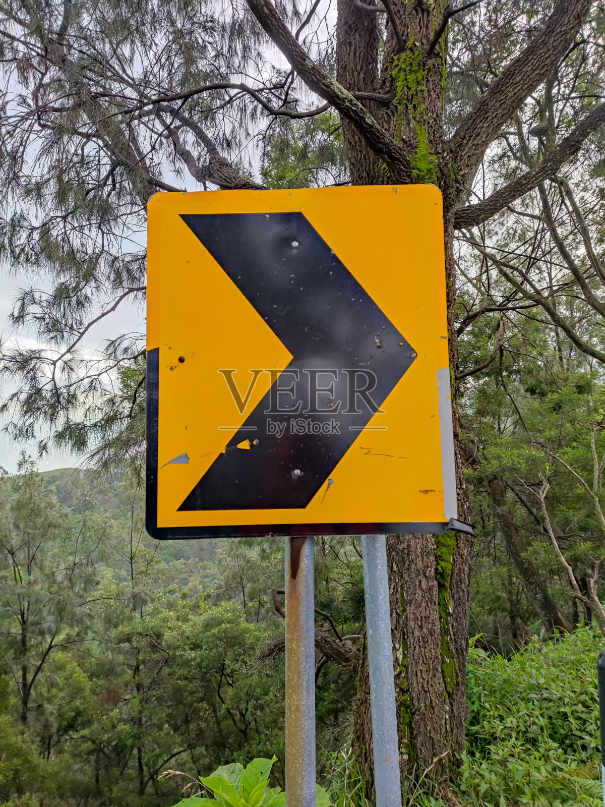 右转信号照片摄影图片