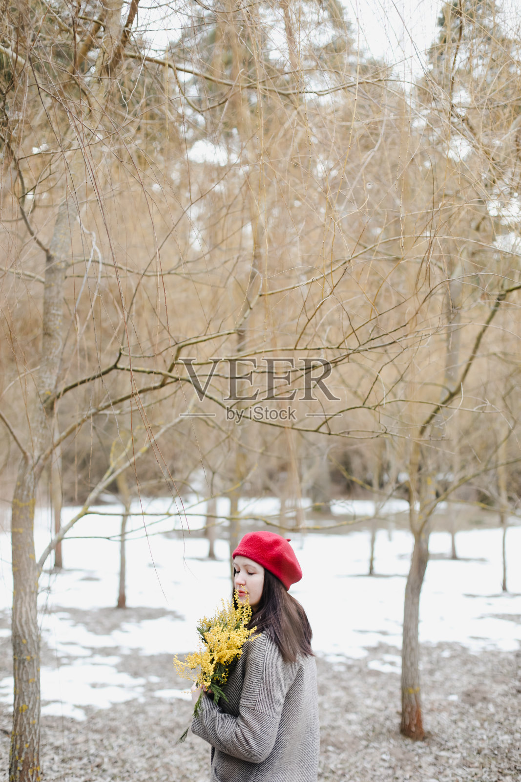 美丽的肖像，一个年轻的女人与含羞草花在户外。照片摄影图片