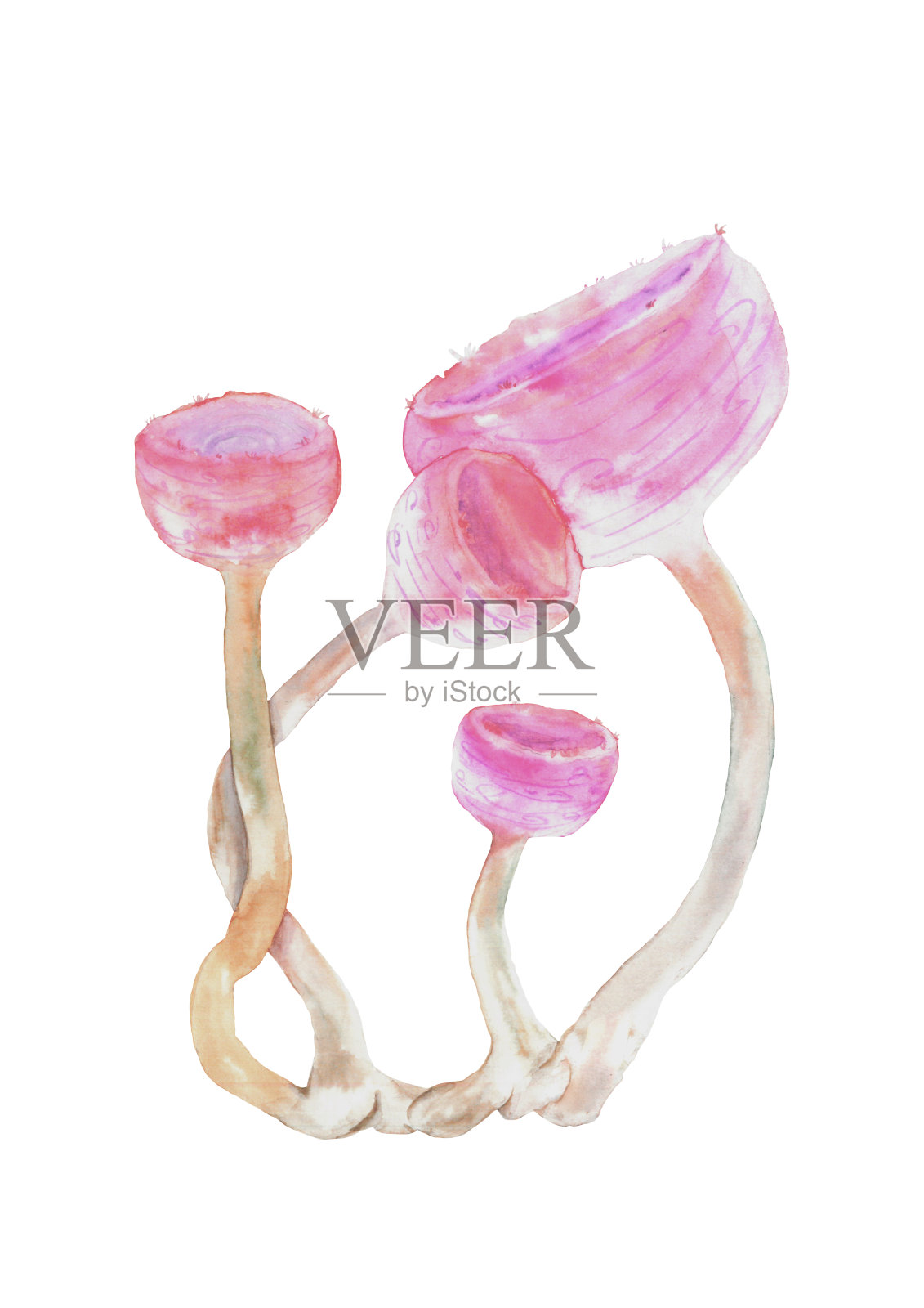 水彩粉红色的蘑菇插画图片素材
